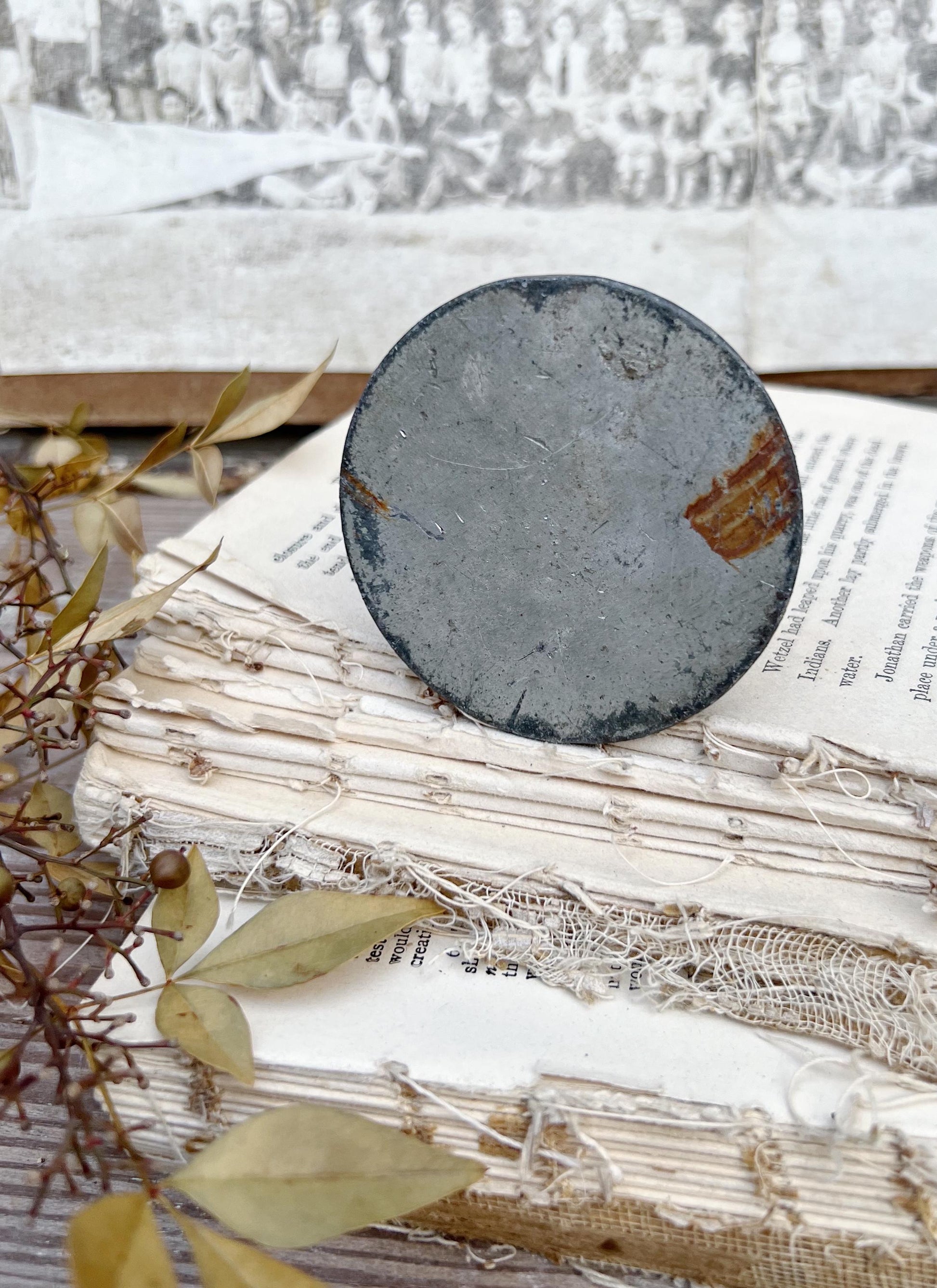 Vintage Floral Frog Large Antique Flower Spike Photo Display Farmhouse Decor Garden Industrial Salvage