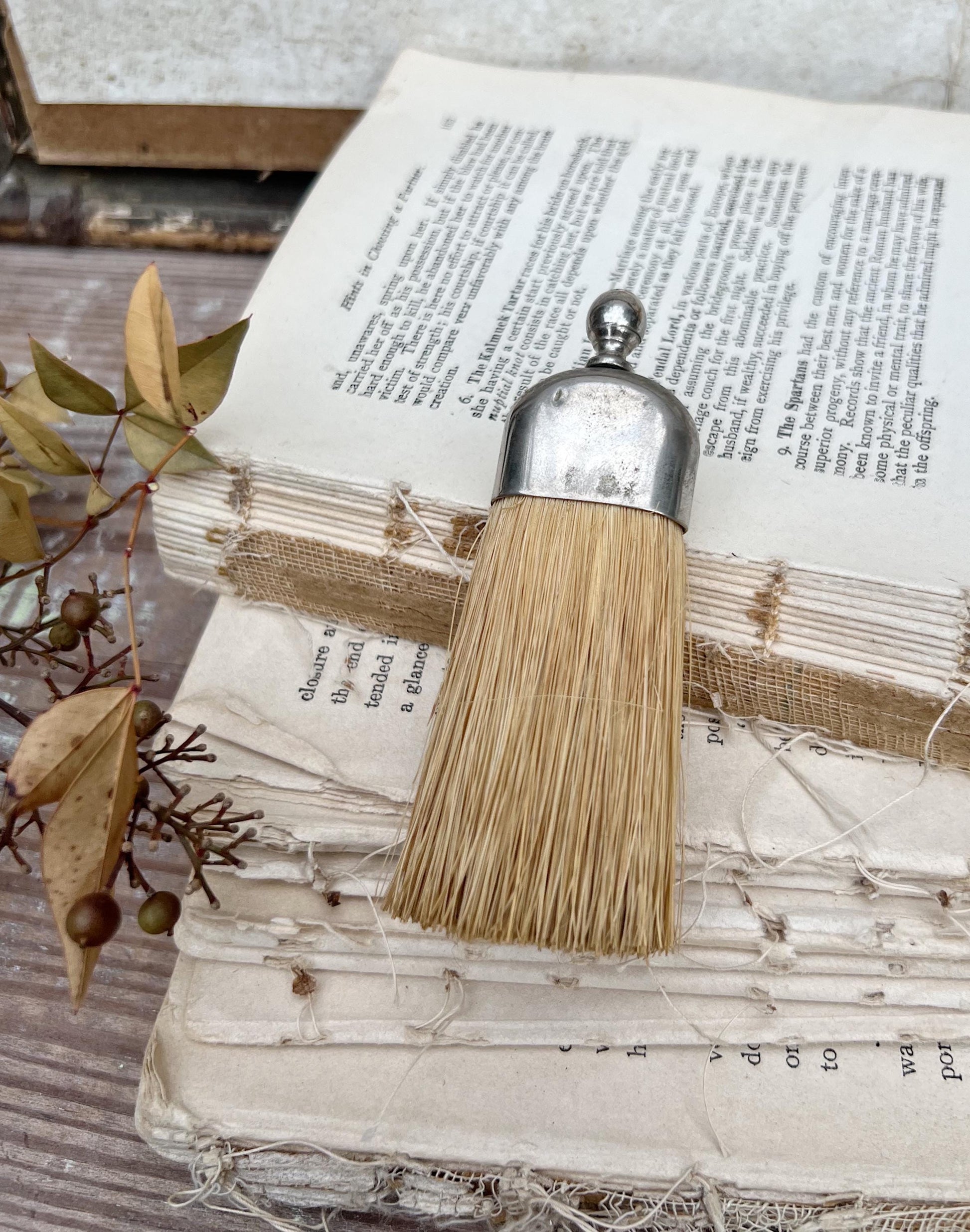 Antique Whisk Crumb Broom Hand Straw Brush SILVER Farmhouse Decor Vintage Broom