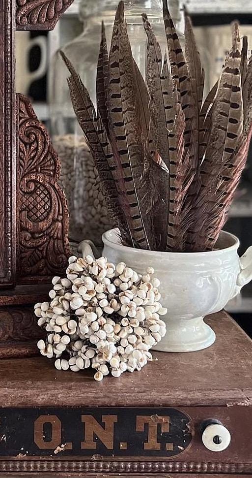 Dried White Tallow Berries Bundle, Texas Farmhouse Decor