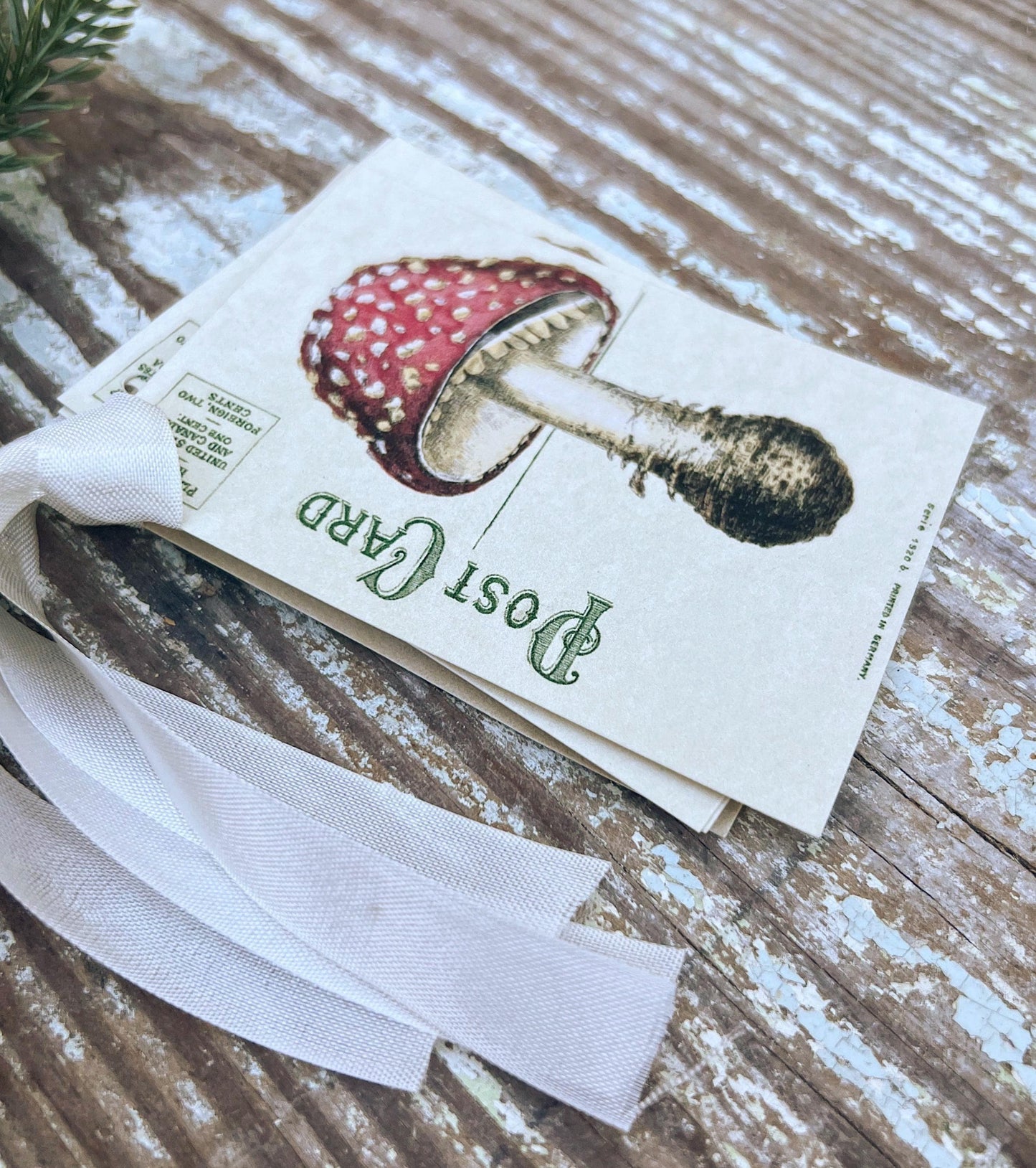MUSHROOM Christmas Gift Tags Vintage POST CARD Red Farmhouse Decor Card French Shabby Gift Wrap Christmas Ornament