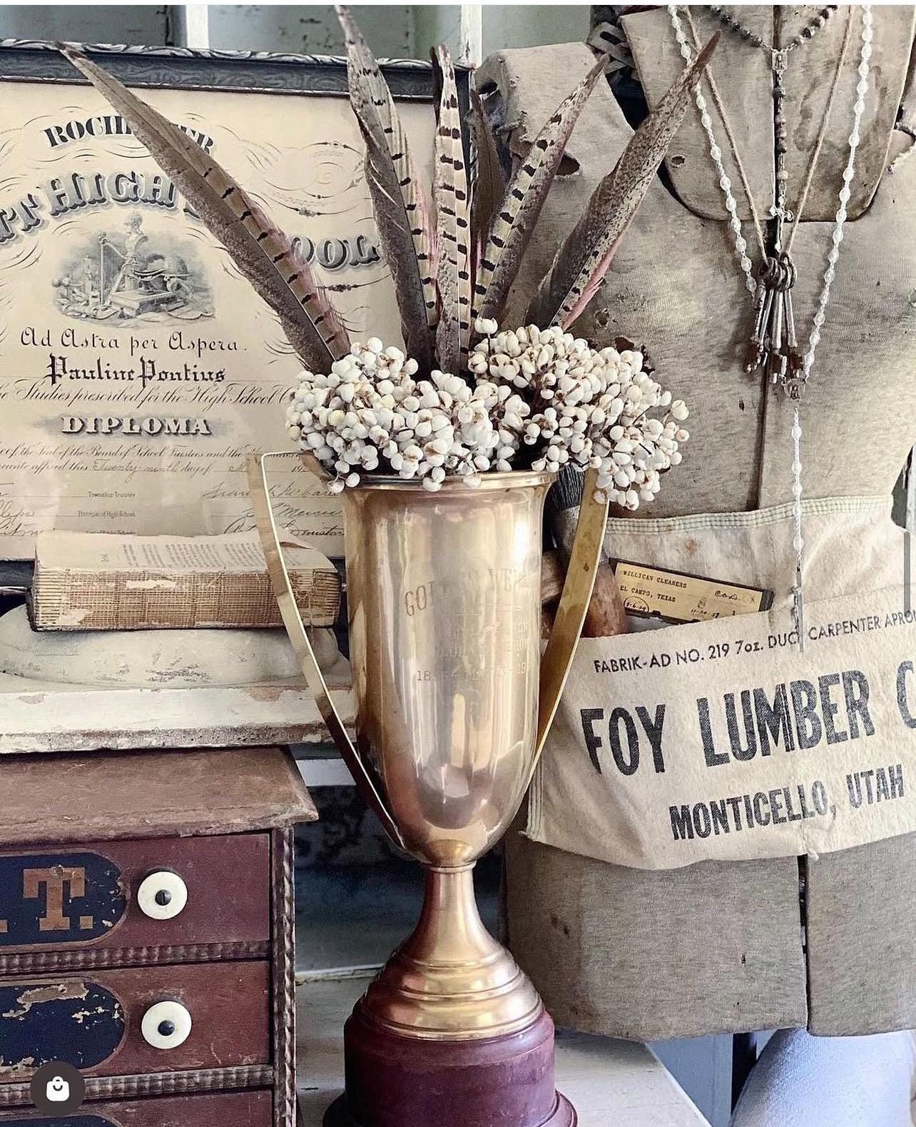 Dried White Tallow Berries Bundle, Texas Farmhouse Decor