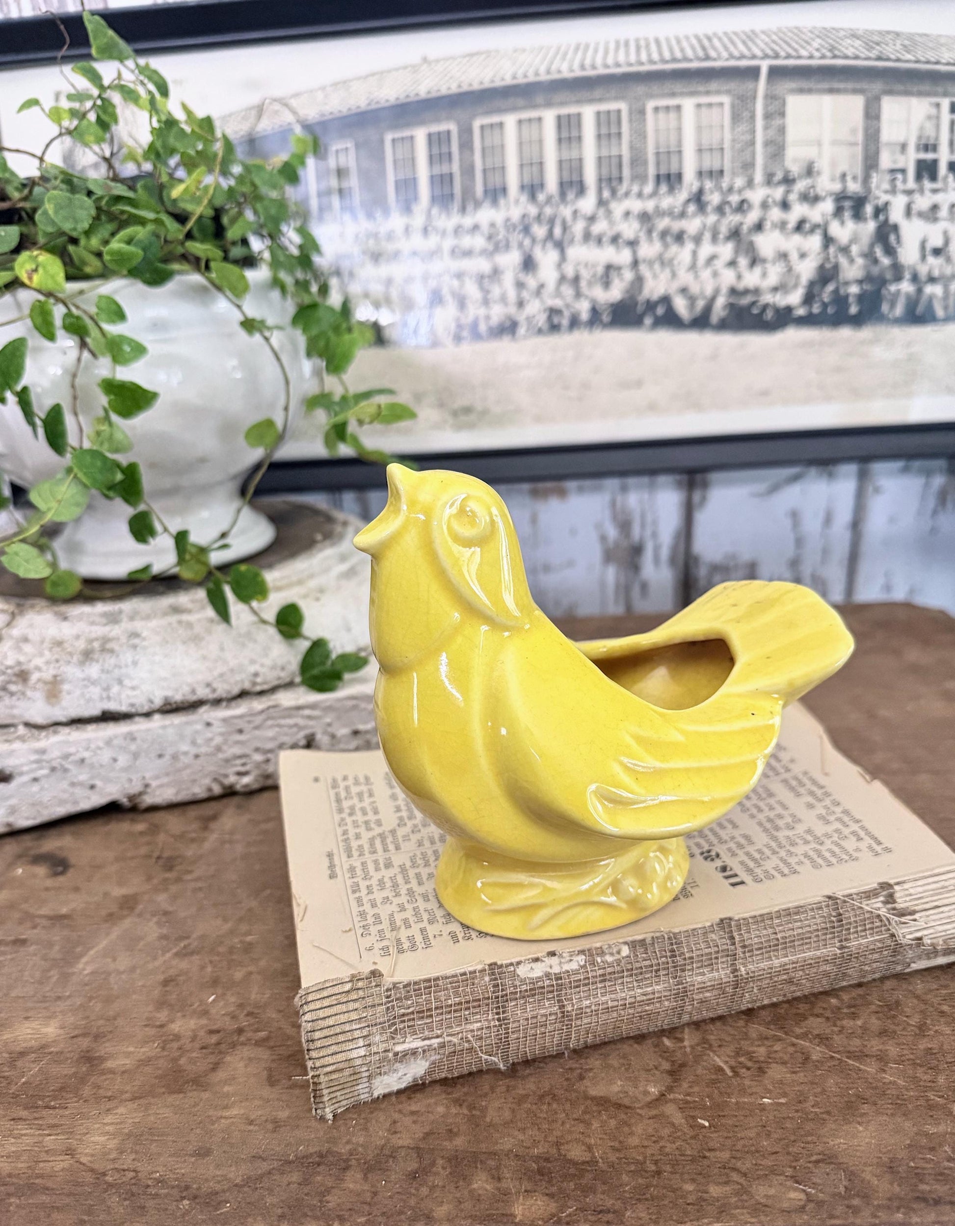 Vintage Ceramic BIRD Flower Pot USA Container Farmhouse Decor GARDEN Decor Ironstone