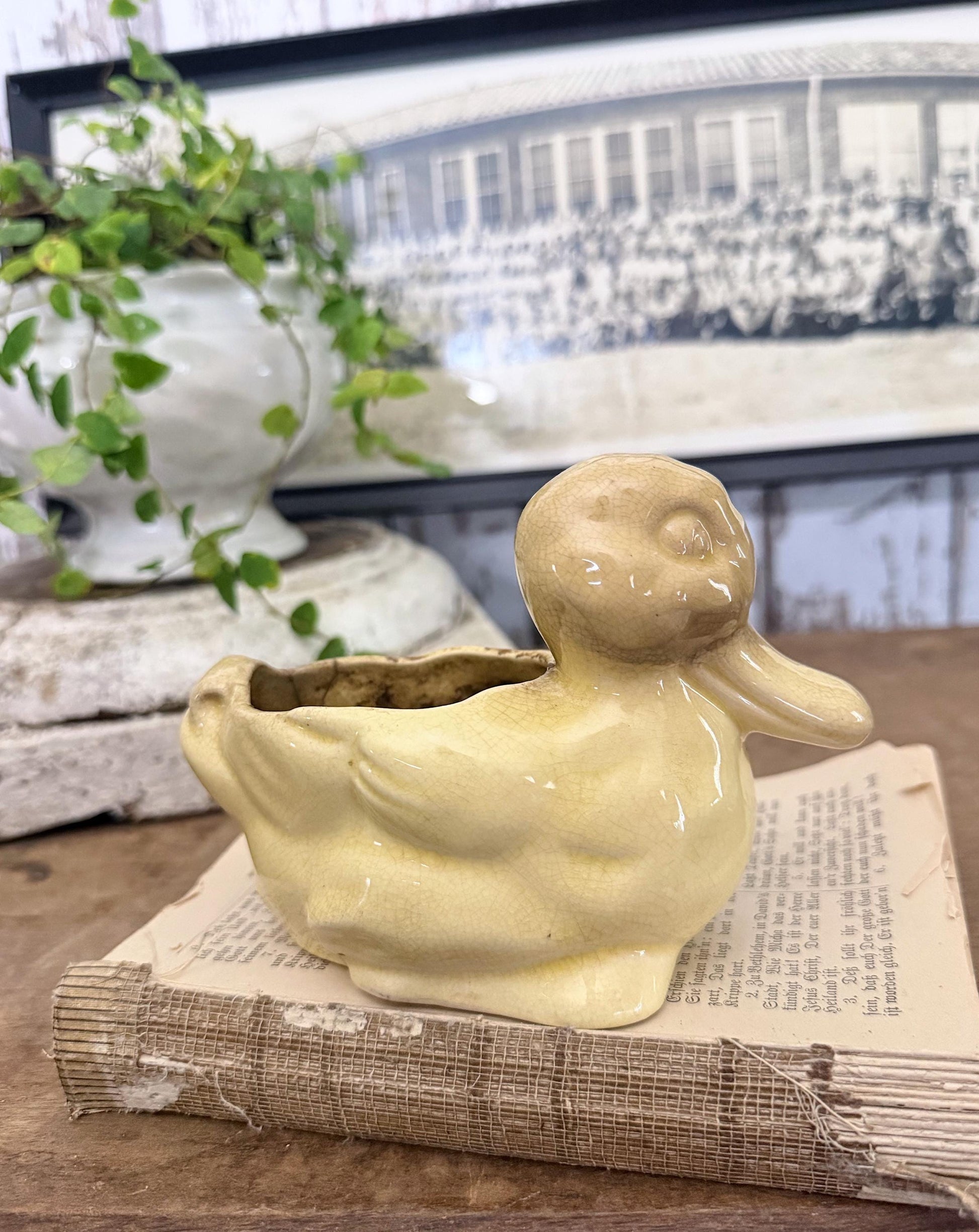 Vintage Ceramic DUCK Flower Pot USA McCoy Container Farmhouse Decor GARDEN Decor Ironstone Crazing Staining