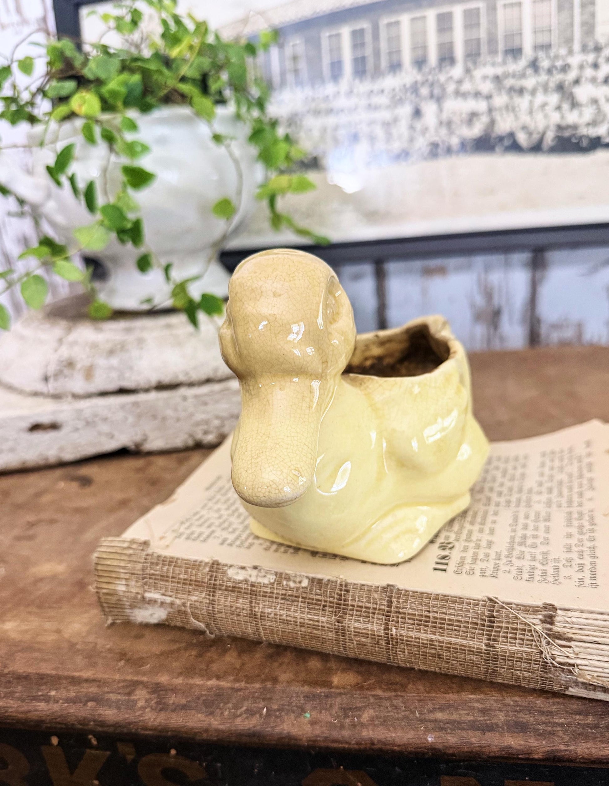 Vintage Ceramic DUCK Flower Pot USA McCoy Container Farmhouse Decor GARDEN Decor Ironstone Crazing Staining