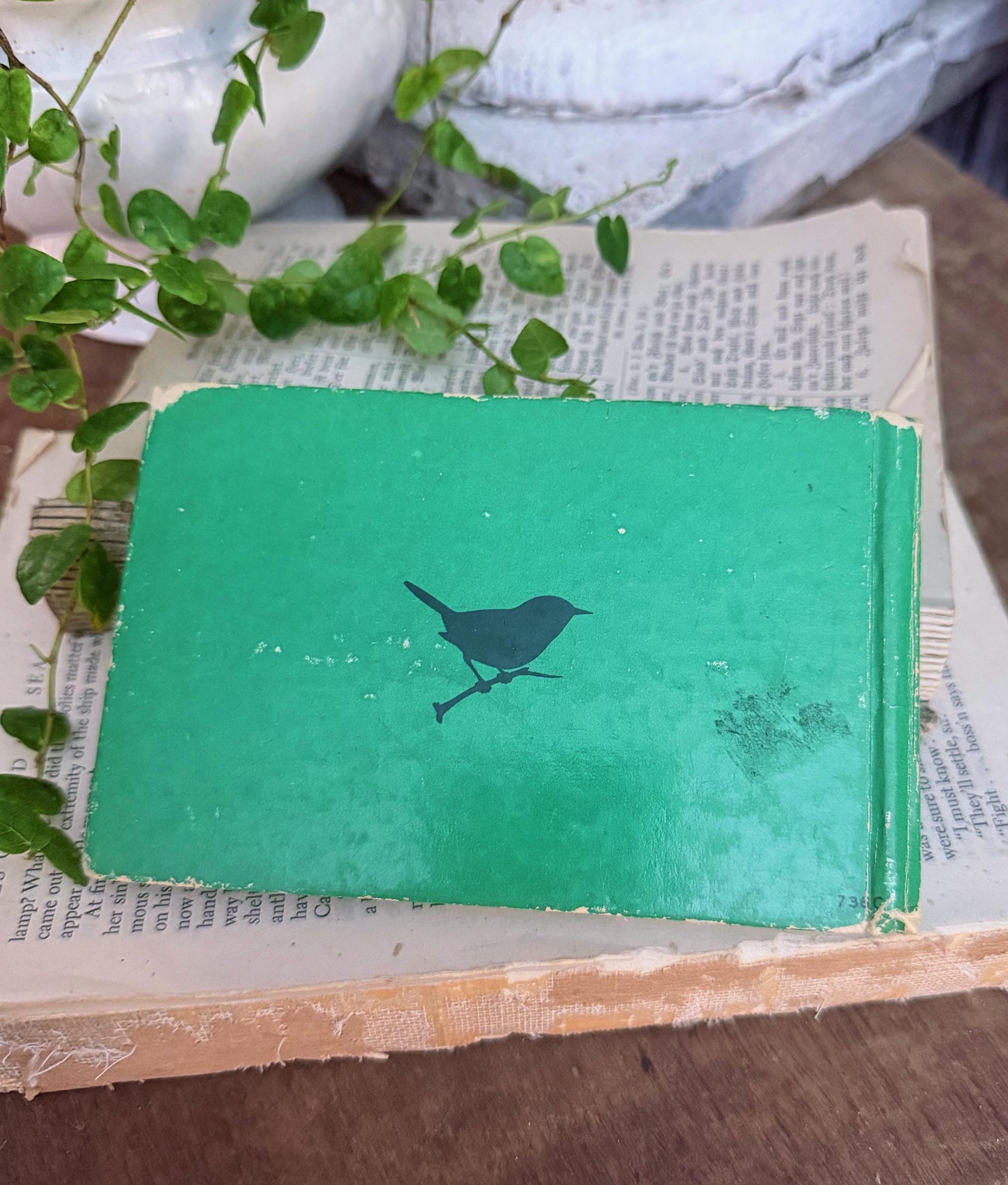 Antique BIRDS of AMERICAN GUIDE Book Farmhouse Decor Pocket Book Green Book