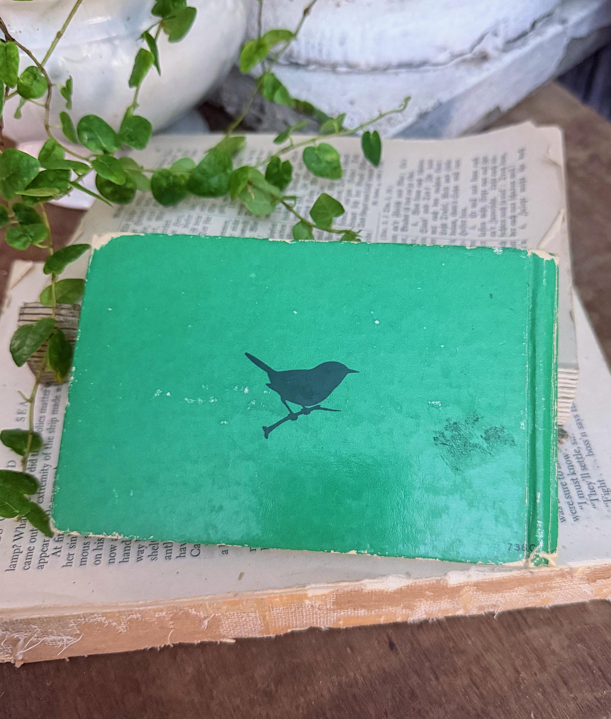 Antique BIRDS of AMERICAN GUIDE Book Farmhouse Decor Pocket Book Green Book