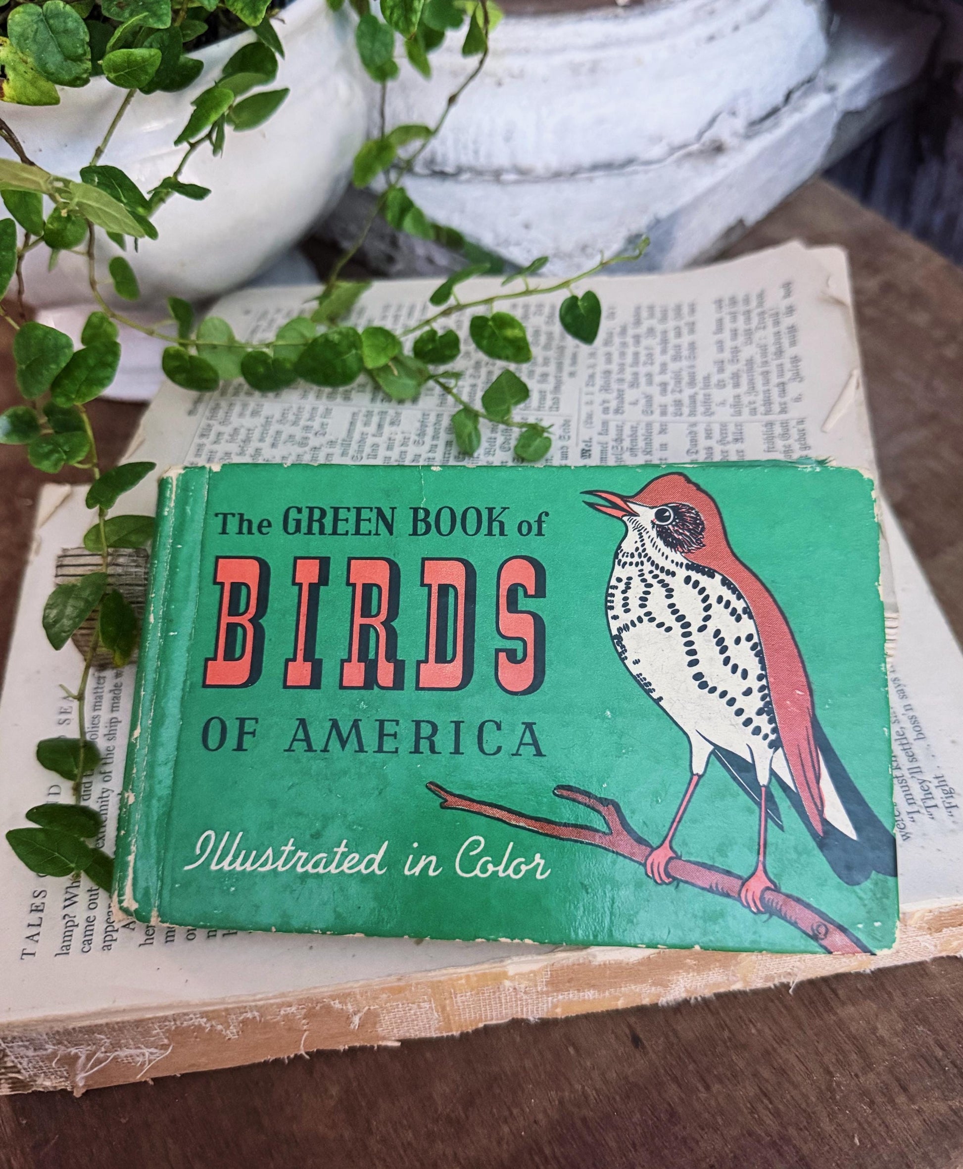 Antique BIRDS of AMERICAN GUIDE Book Farmhouse Decor Pocket Book Green Book