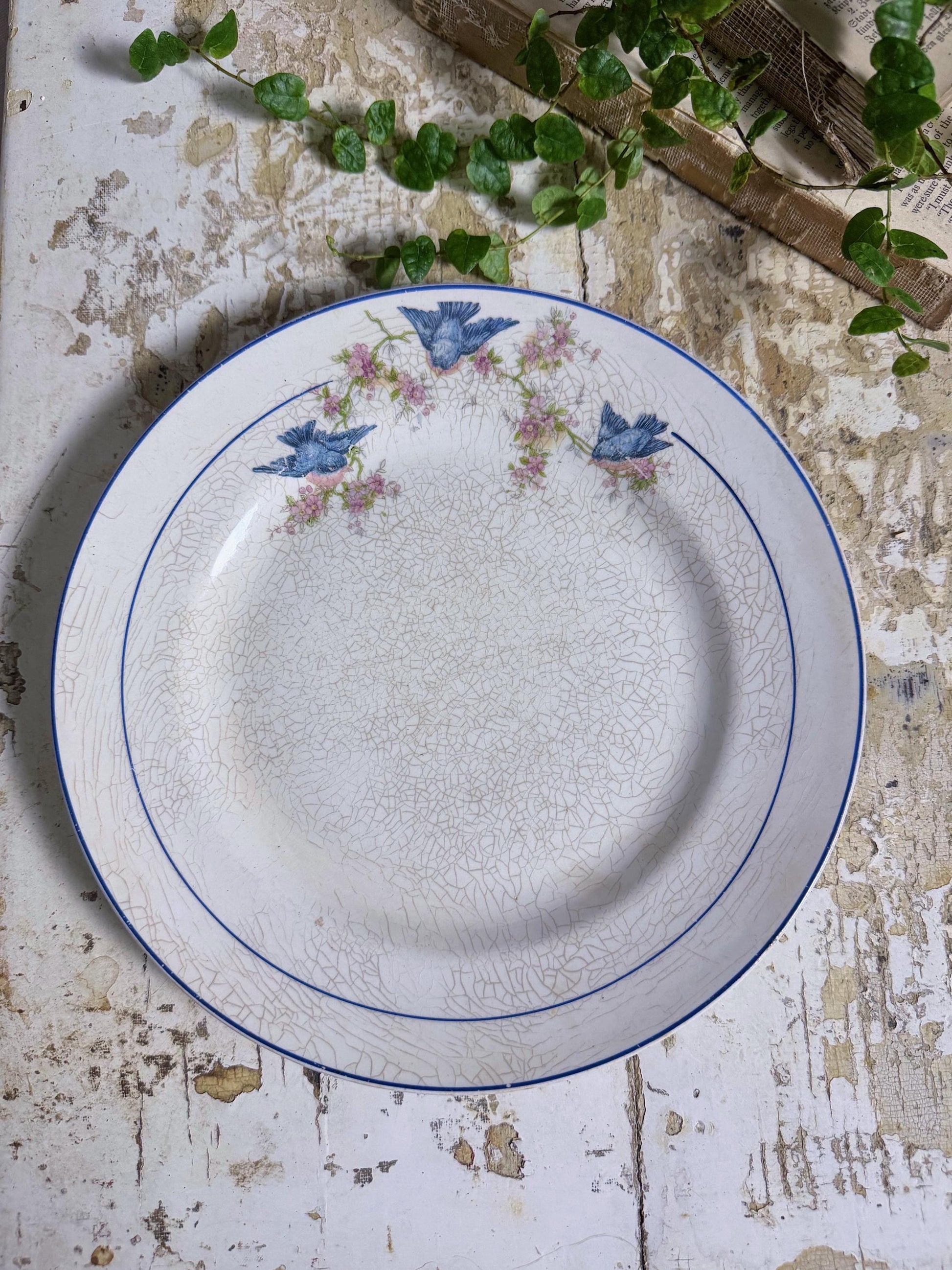 Antique BLUEBIRD Ironstone Dinner Plate Farmhouse Decor Crazing Stained MONTEL Mount Clemens