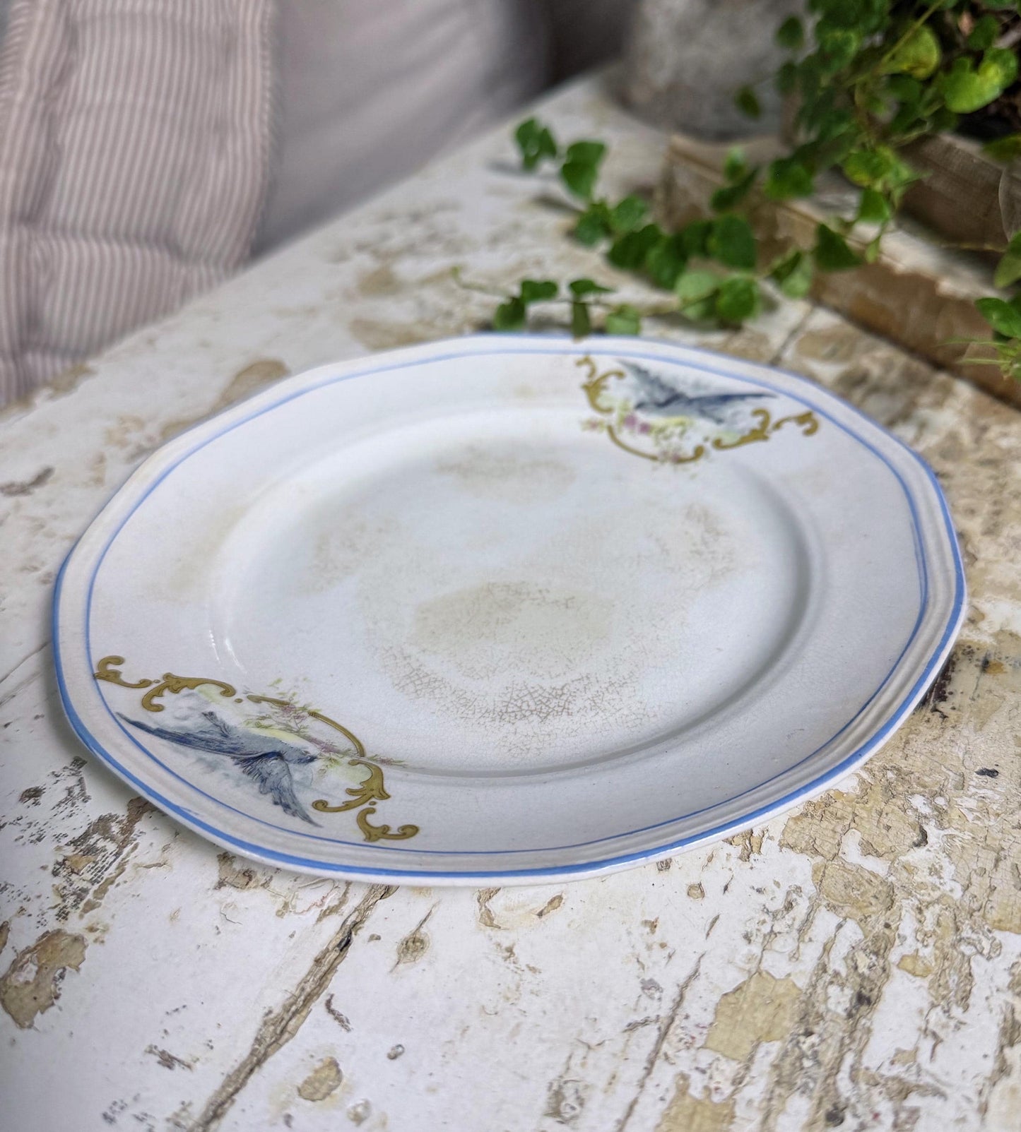Antique BLUEBIRD Ironstone Plate Farmhouse Decor Crazing Stained