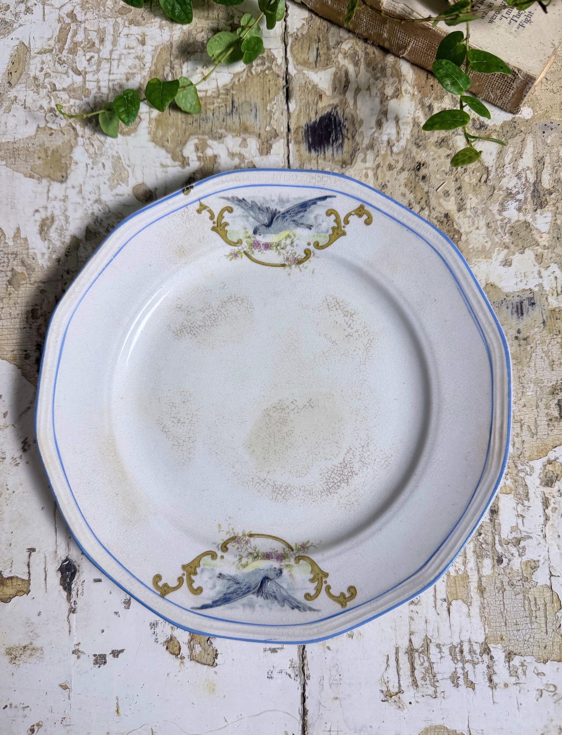 Antique BLUEBIRD Ironstone Plate Farmhouse Decor Crazing Stained