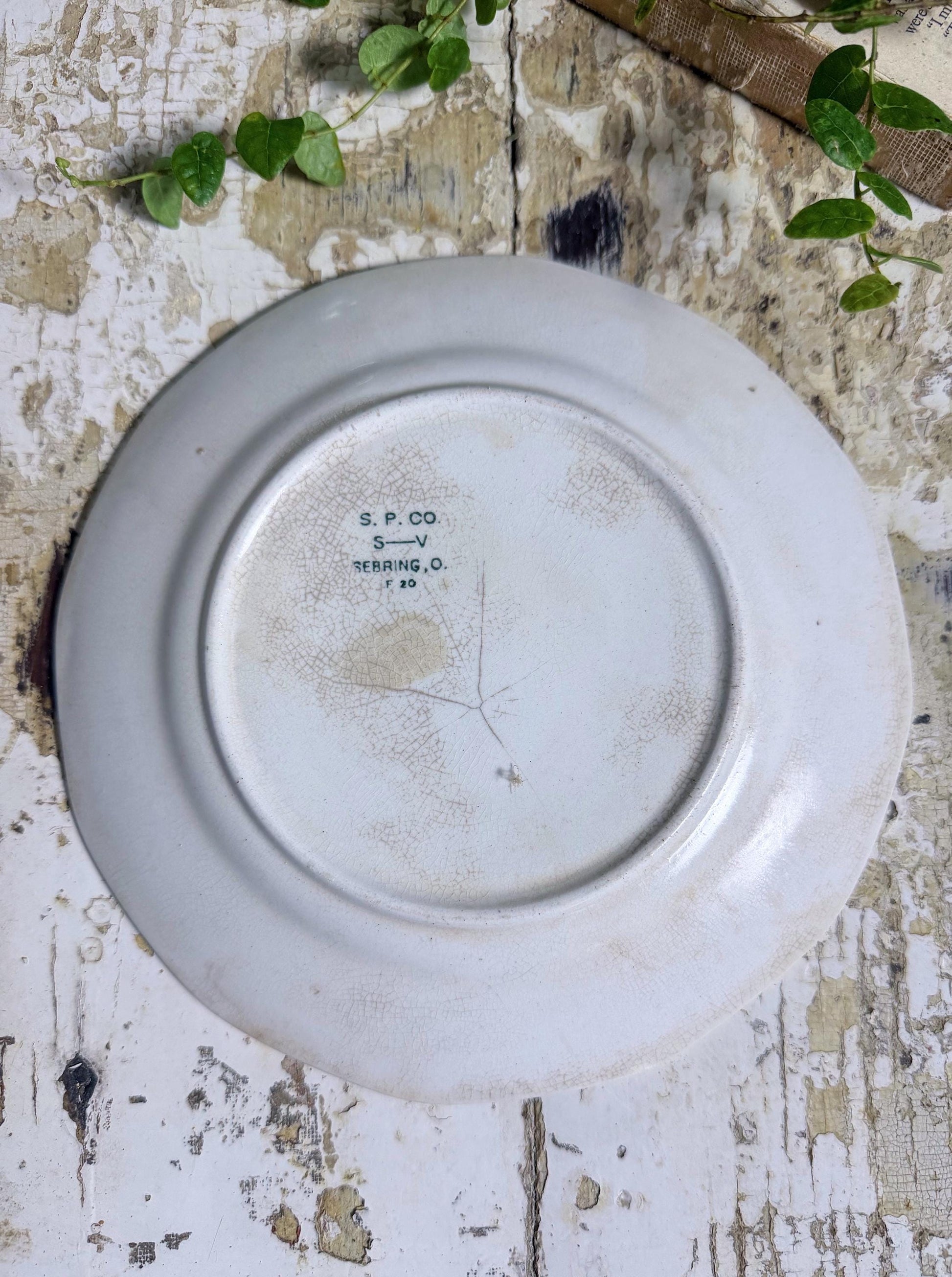 Antique BLUEBIRD Ironstone Plate Farmhouse Decor Crazing Stained