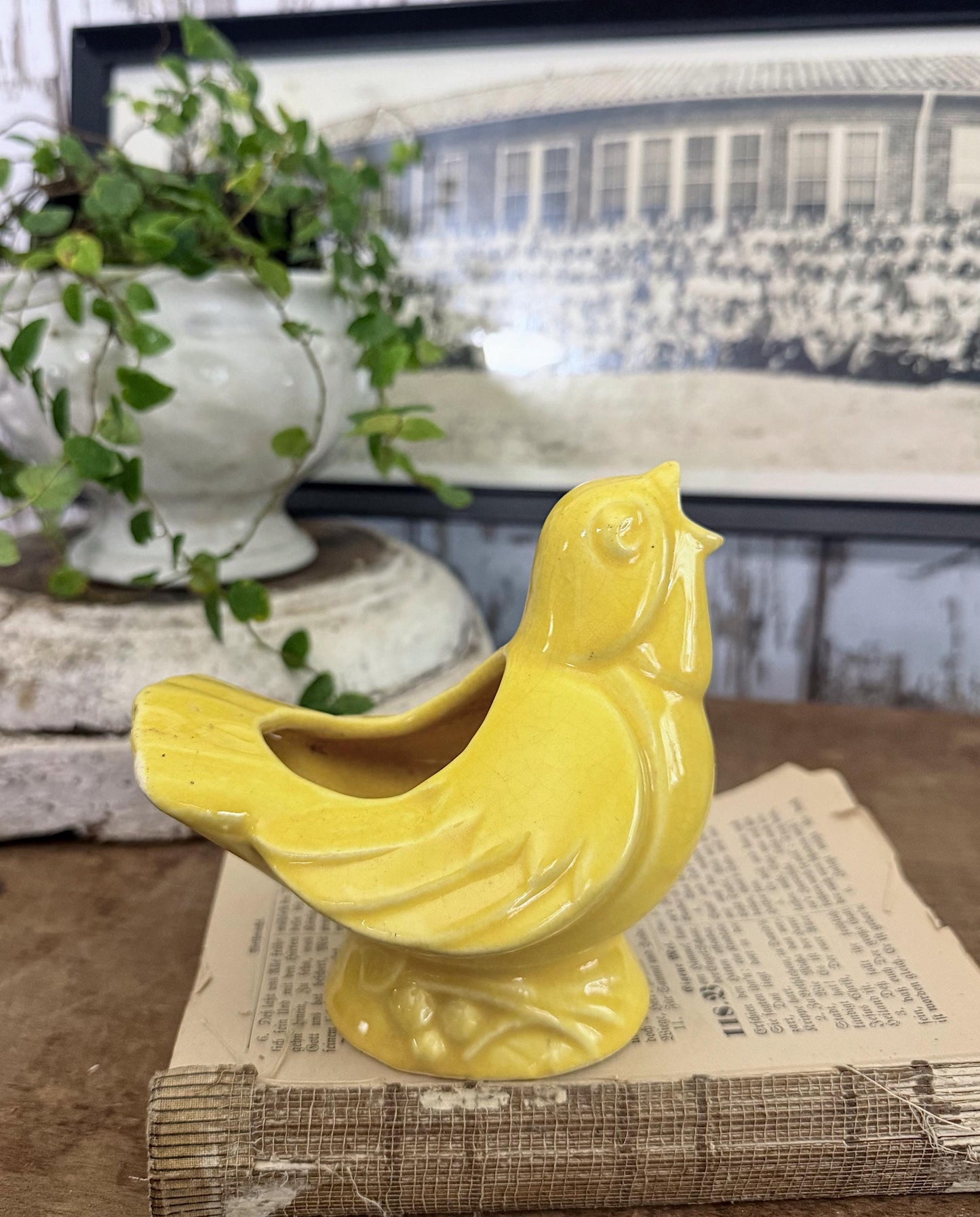 Vintage Ceramic BIRD Flower Pot USA Container Farmhouse Decor GARDEN Decor Ironstone