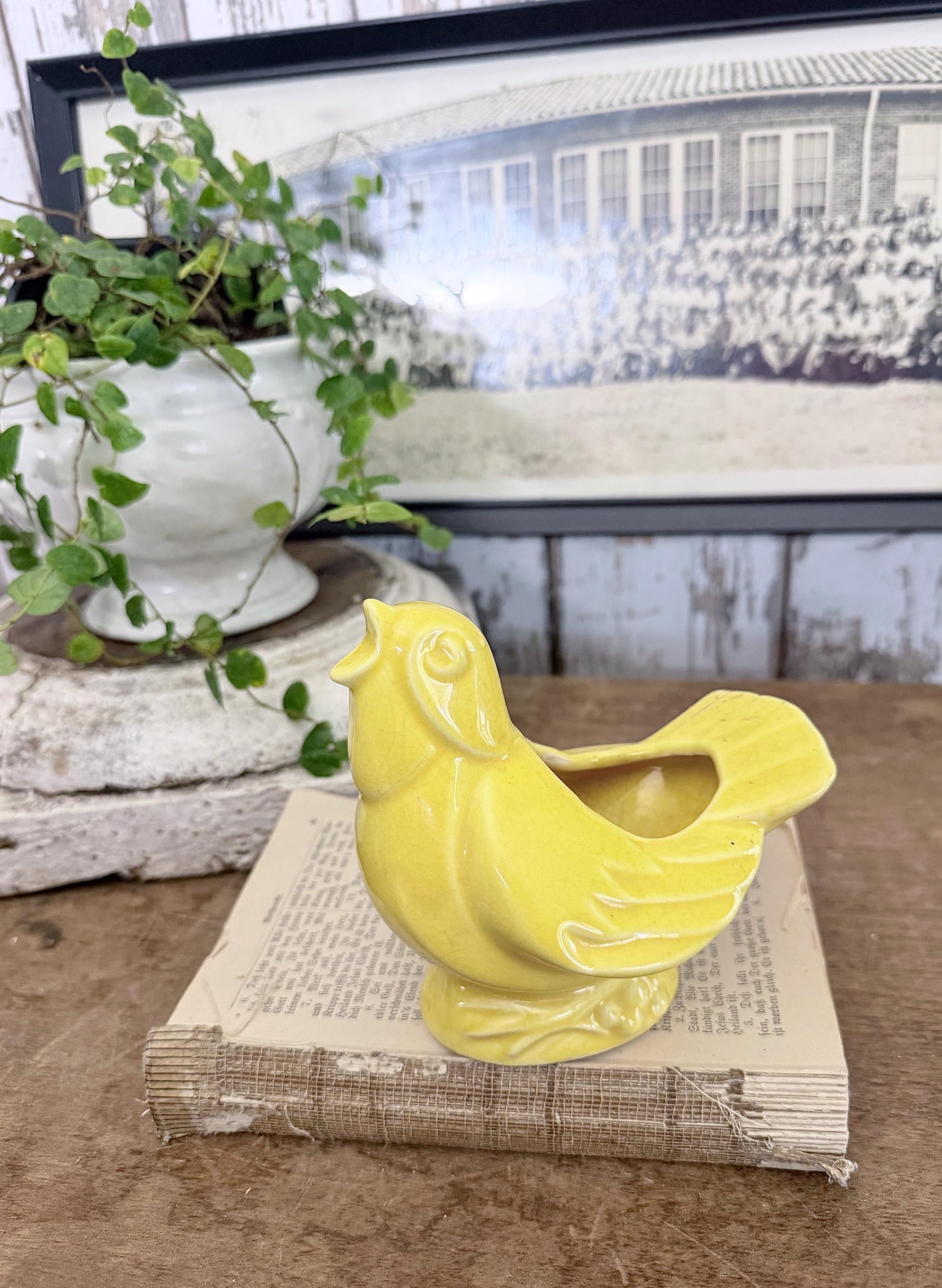 Vintage Ceramic BIRD Flower Pot USA Container Farmhouse Decor GARDEN Decor Ironstone