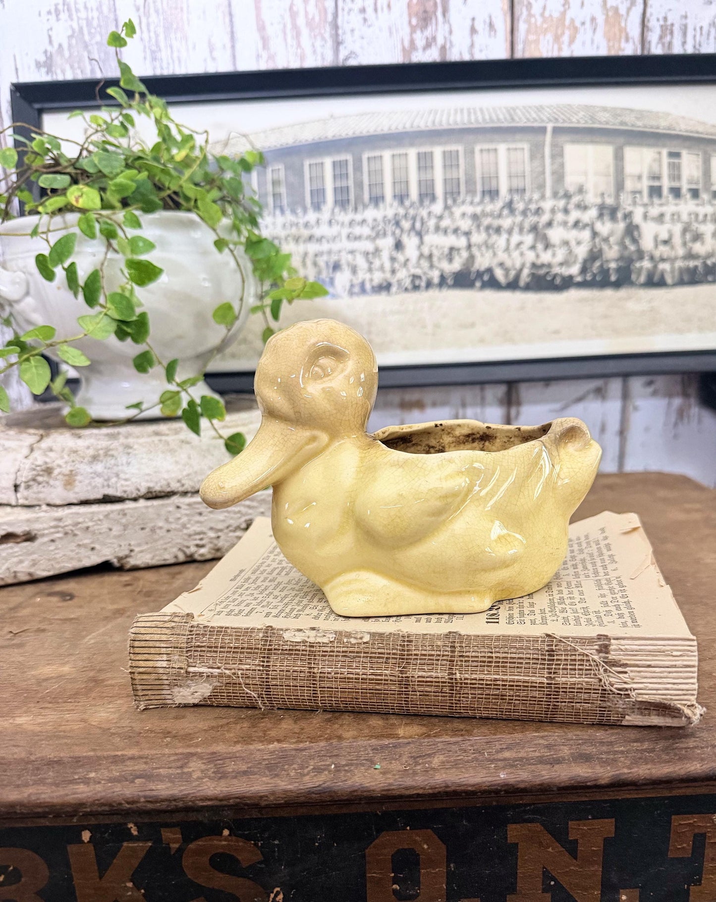 Vintage Ceramic DUCK Flower Pot USA McCoy Container Farmhouse Decor GARDEN Decor Ironstone Crazing Staining