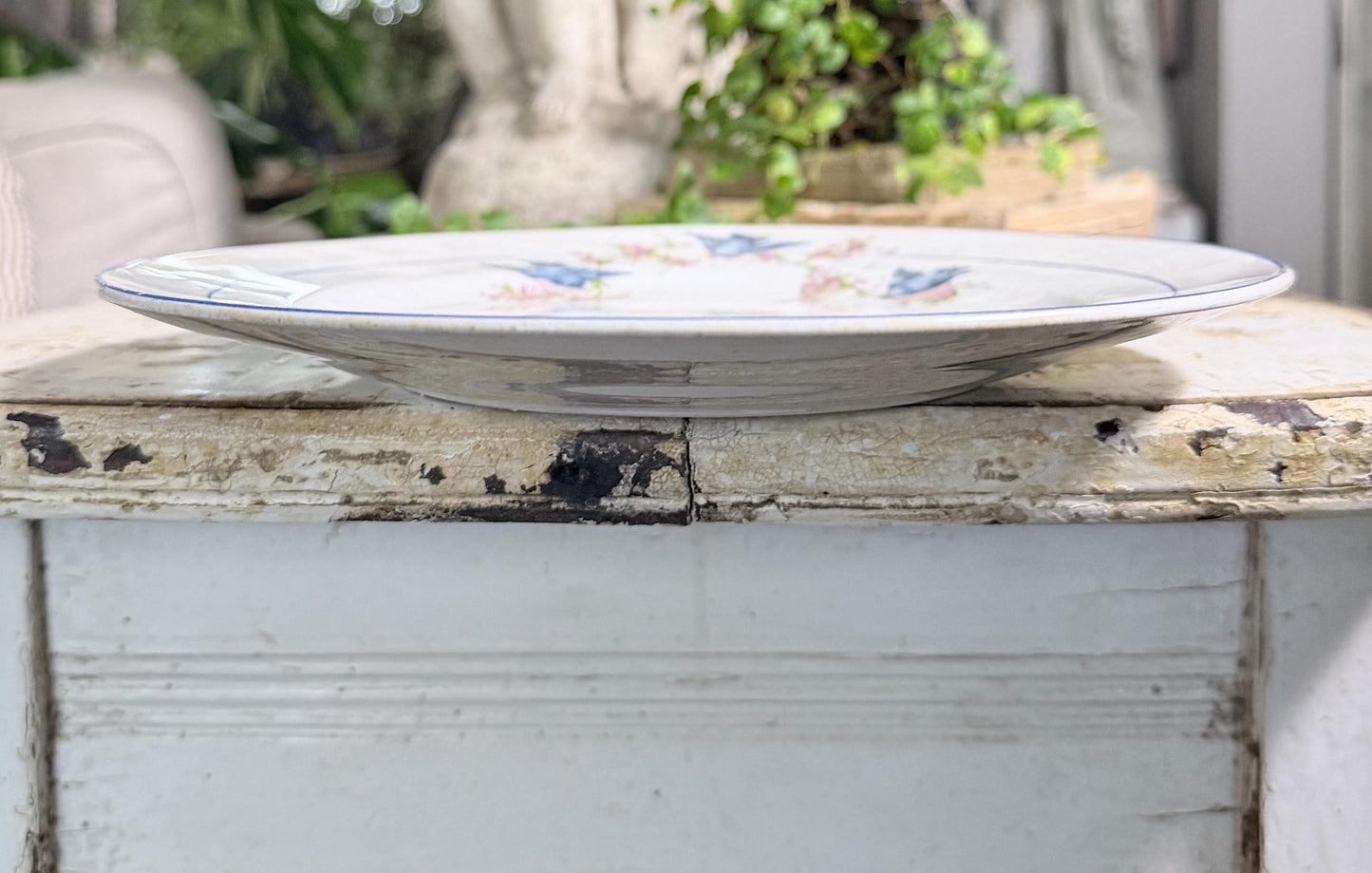 Antique BLUEBIRD Ironstone Dinner Plate Farmhouse Decor Crazing Stained MONTEL Mount Clemens