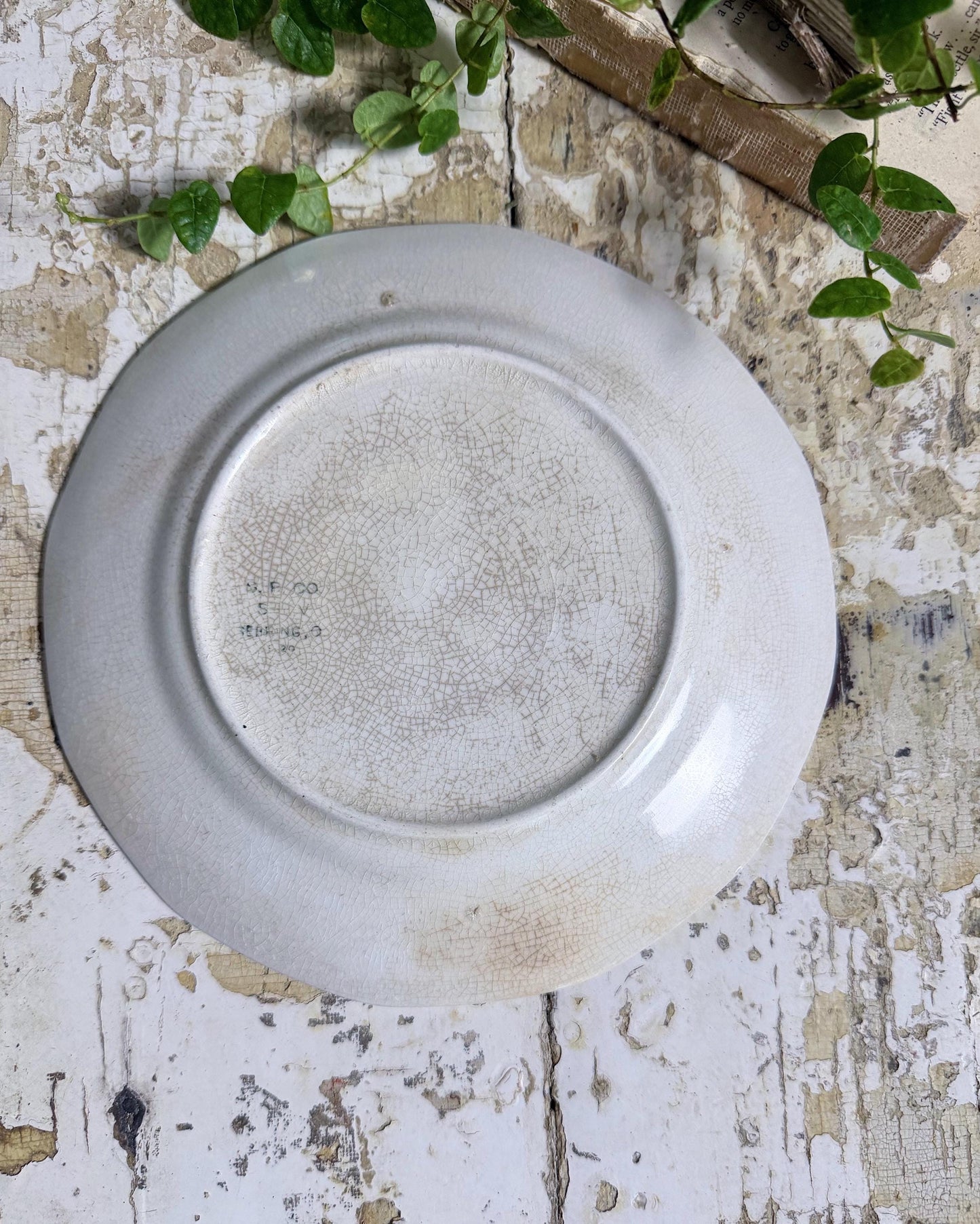 Antique BLUEBIRD Ironstone Plate Farmhouse Decor Crazing Stained