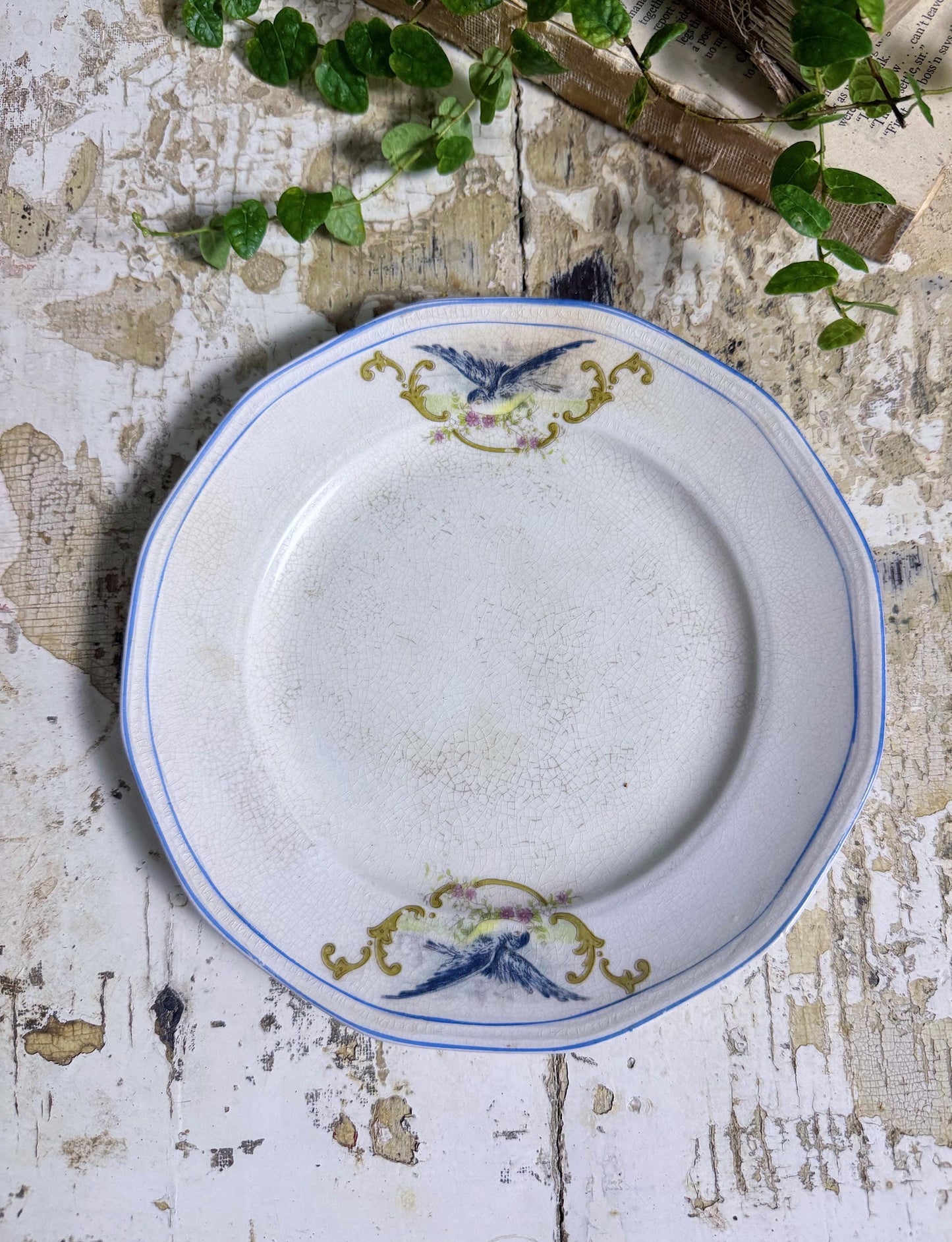Antique BLUEBIRD Ironstone Plate Farmhouse Decor Crazing Stained