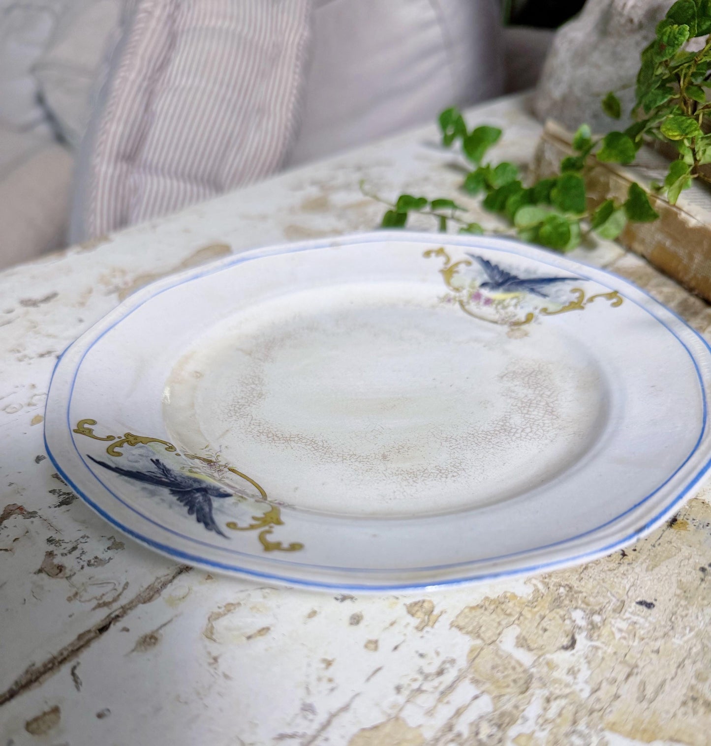 Antique BLUEBIRD Ironstone Plate Farmhouse Decor Crazing Stained