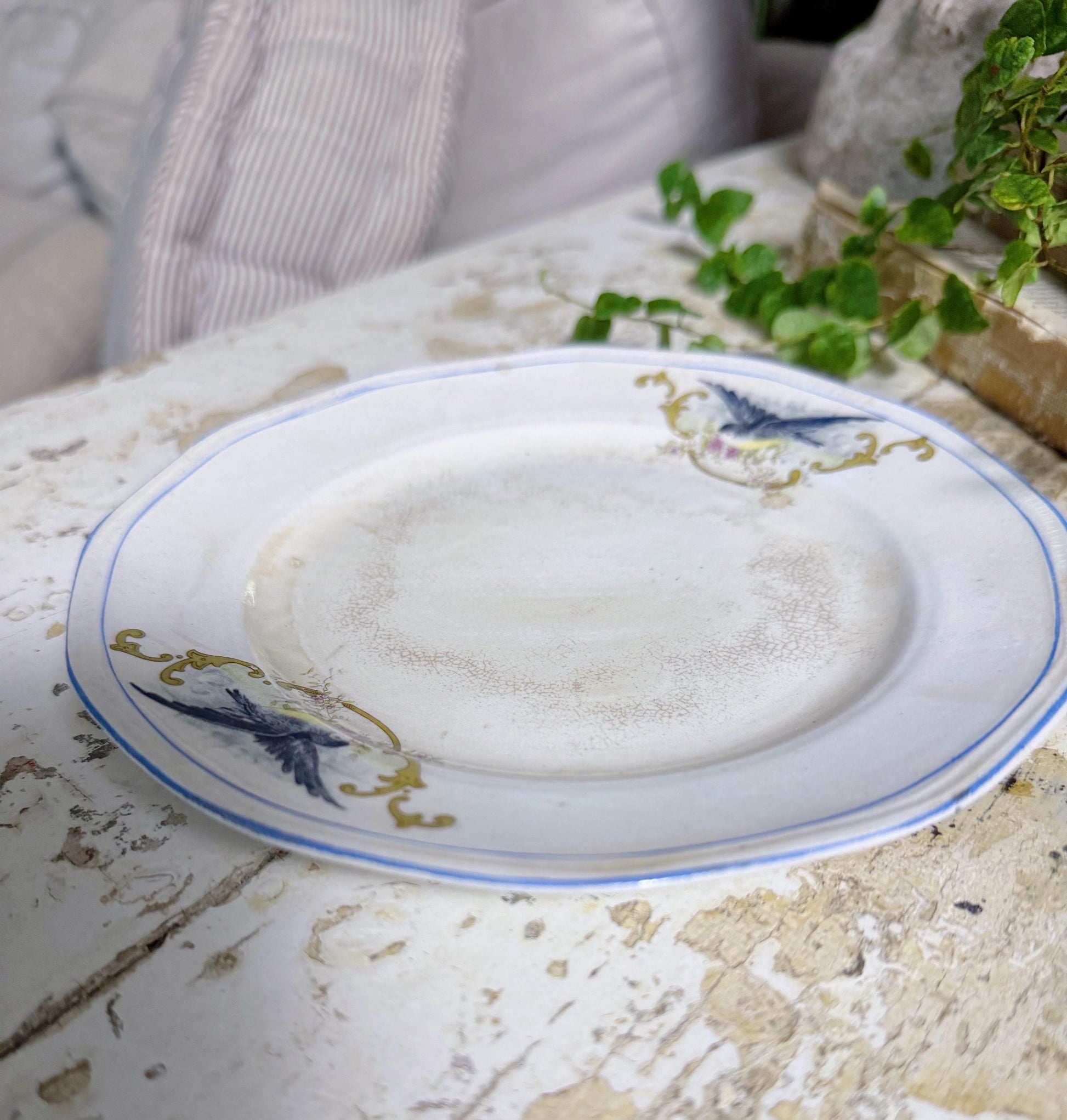 Antique BLUEBIRD Ironstone Plate Farmhouse Decor Crazing Stained