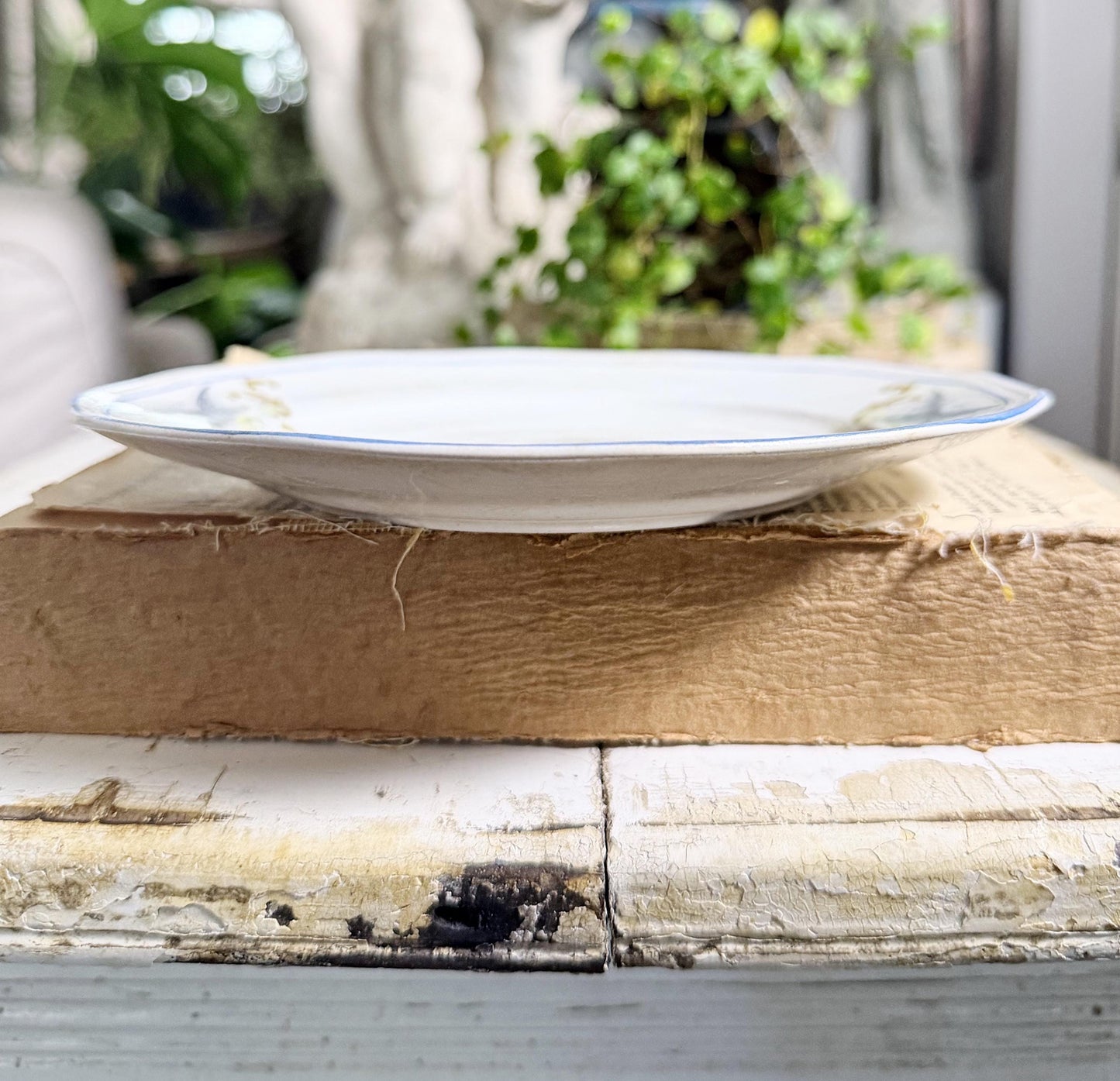 Antique BLUEBIRD Ironstone Plate Farmhouse Decor Crazing Stained