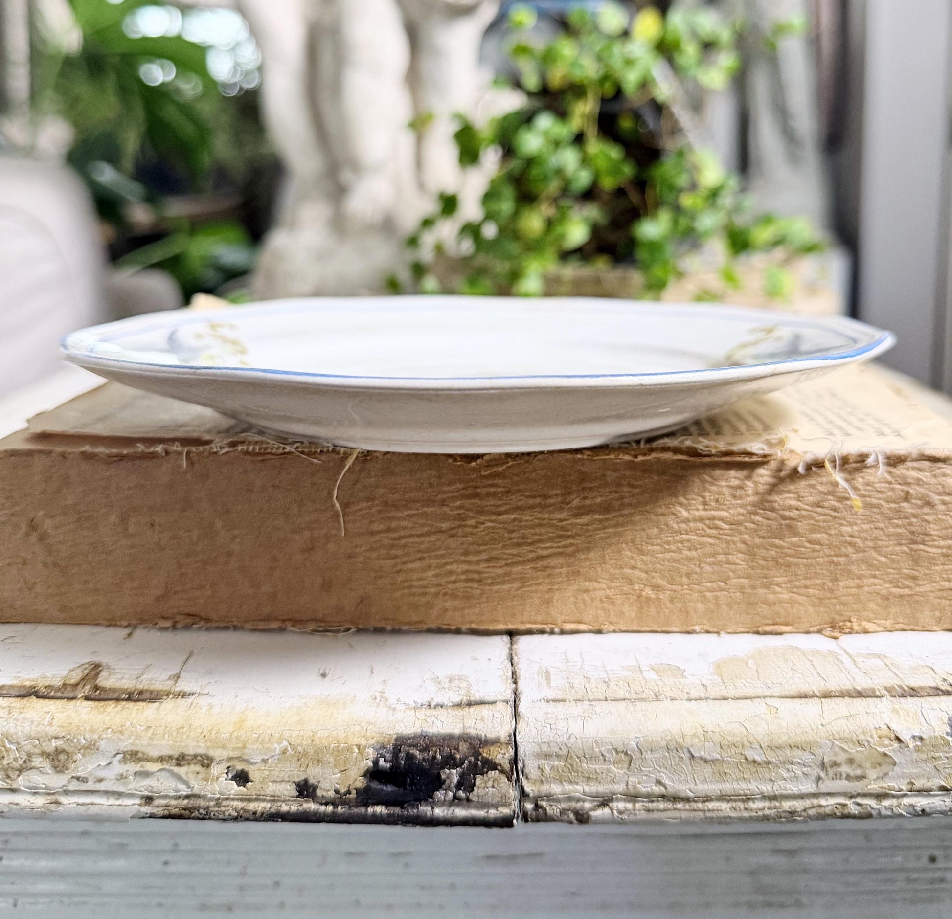 Antique BLUEBIRD Ironstone Plate Farmhouse Decor Crazing Stained