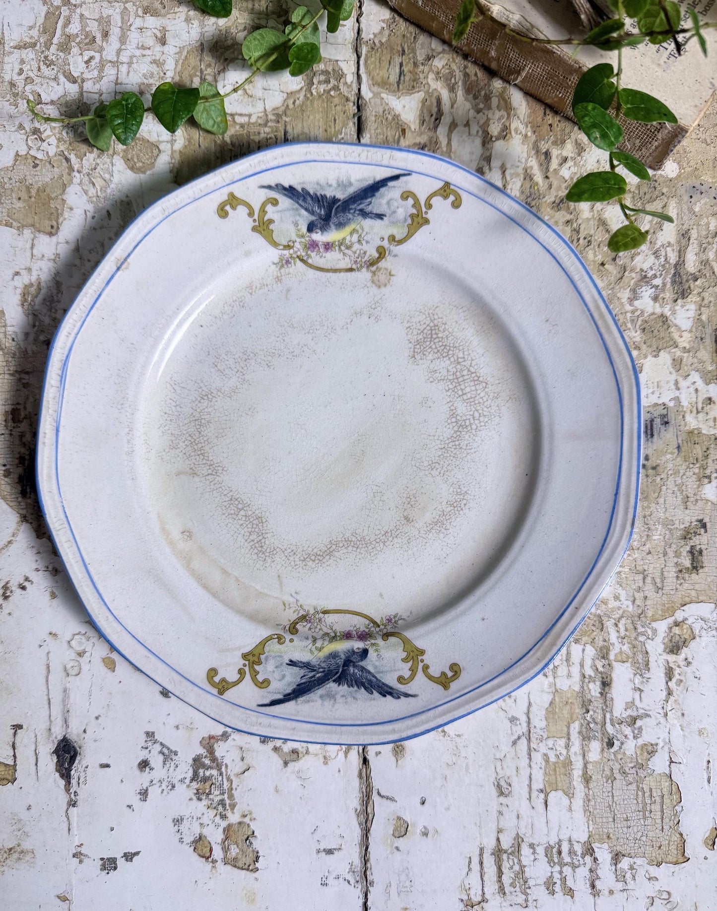 Antique BLUEBIRD Ironstone Plate Farmhouse Decor Crazing Stained