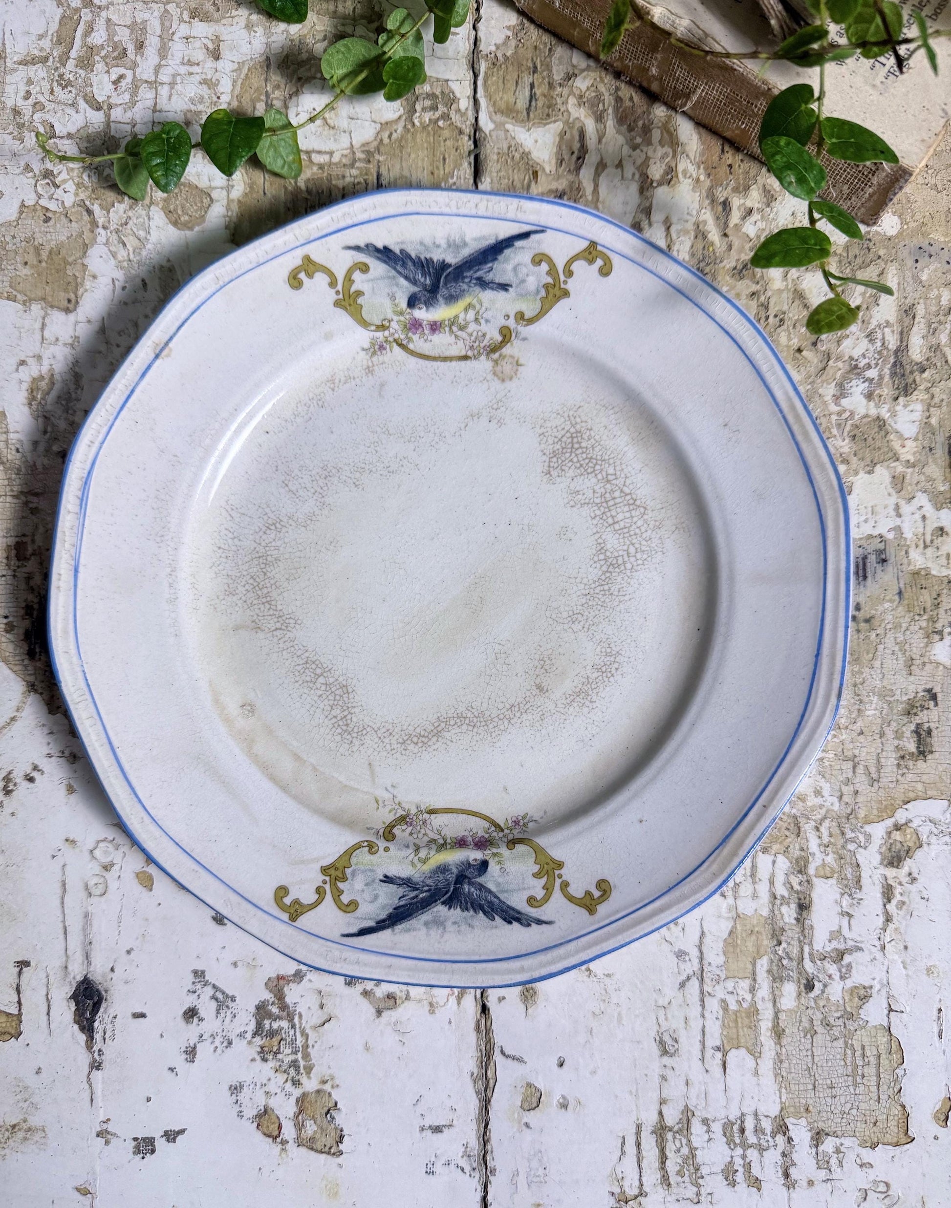Antique BLUEBIRD Ironstone Plate Farmhouse Decor Crazing Stained