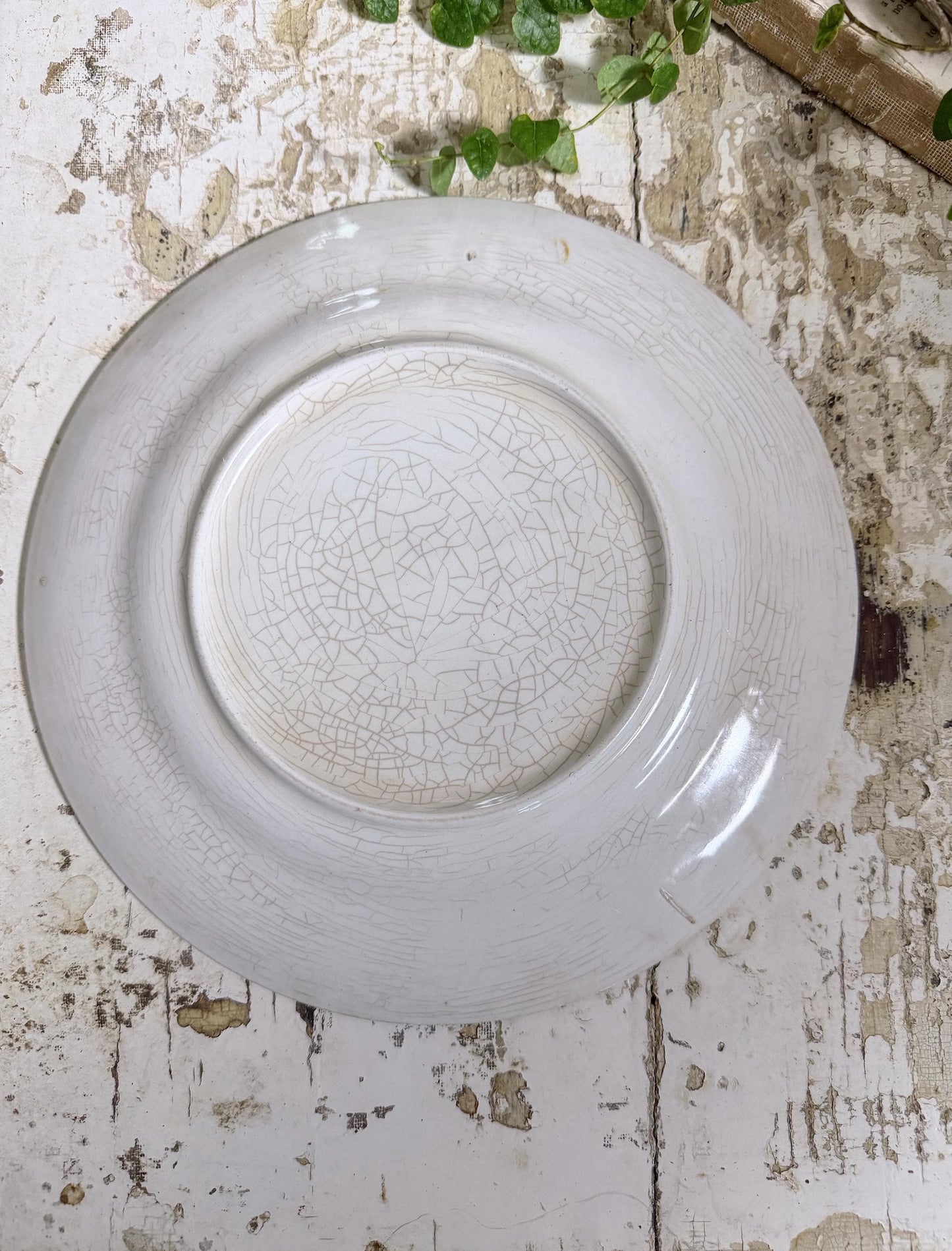 Antique BLUEBIRD Ironstone Dinner Plate Farmhouse Decor Crazing Stained MONTEL Mount Clemens