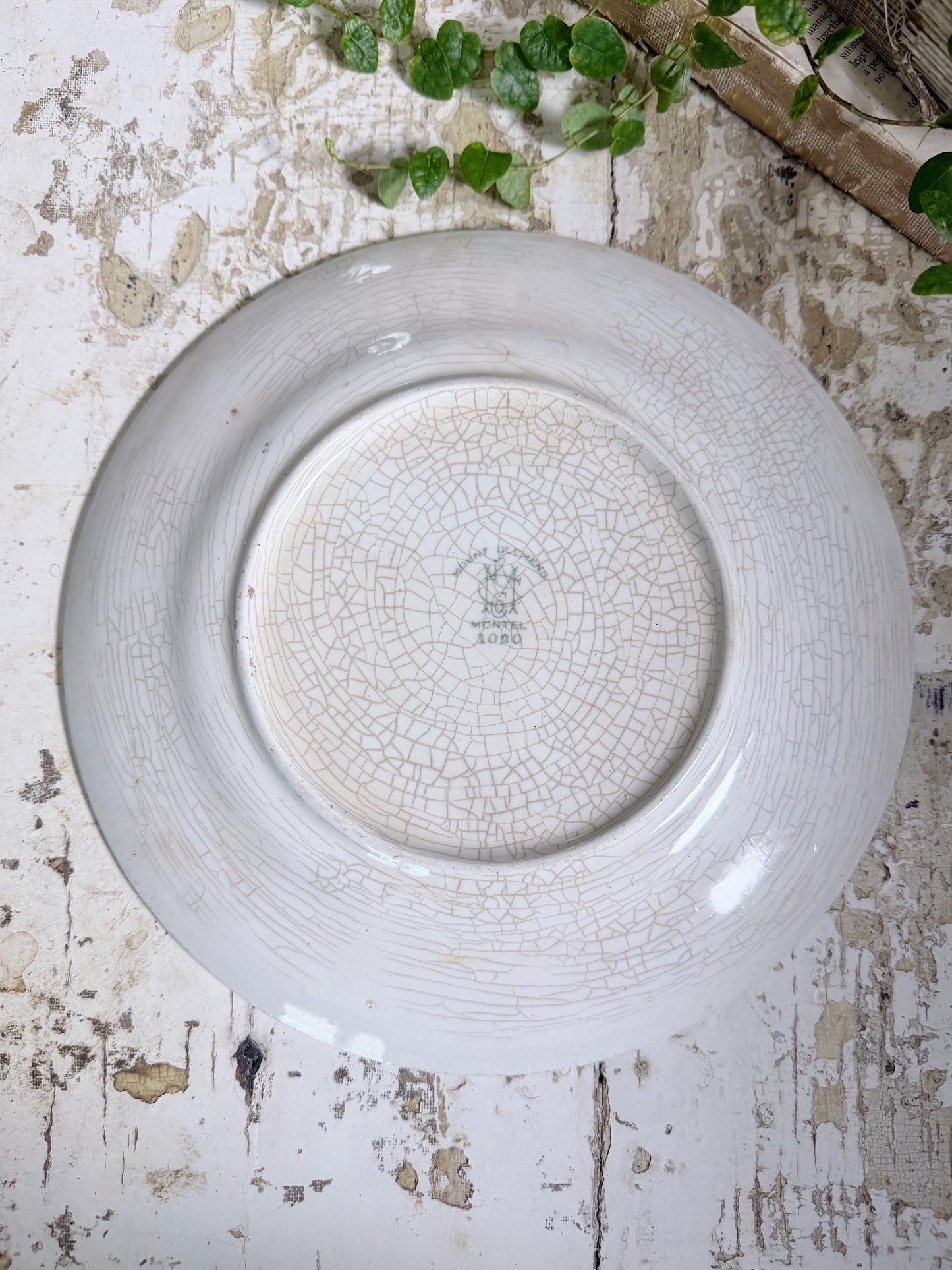 Antique BLUEBIRD Ironstone Dinner Plate Farmhouse Decor Crazing Stained MONTEL Mount Clemens