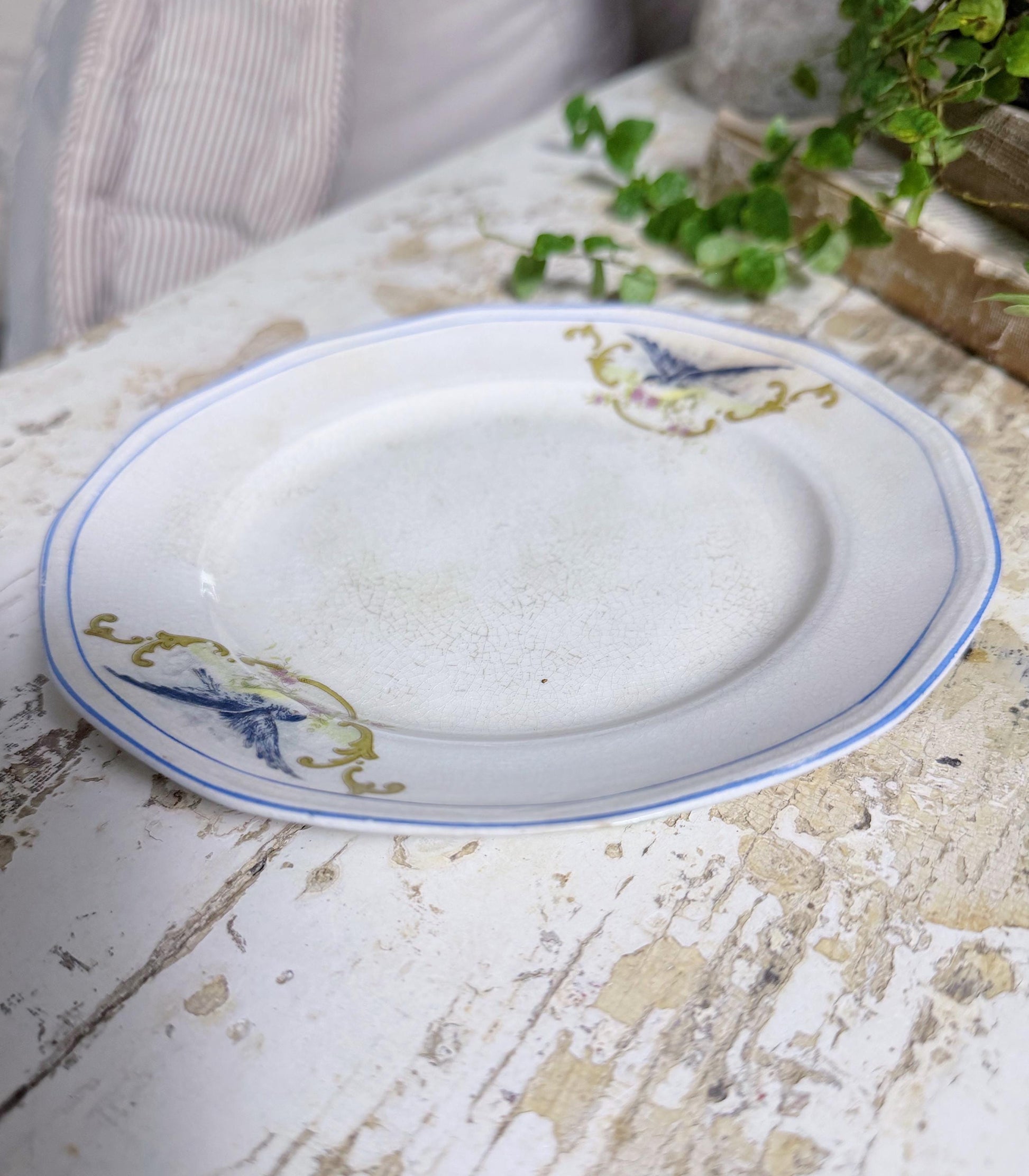 Antique BLUEBIRD Ironstone Plate Farmhouse Decor Crazing Stained