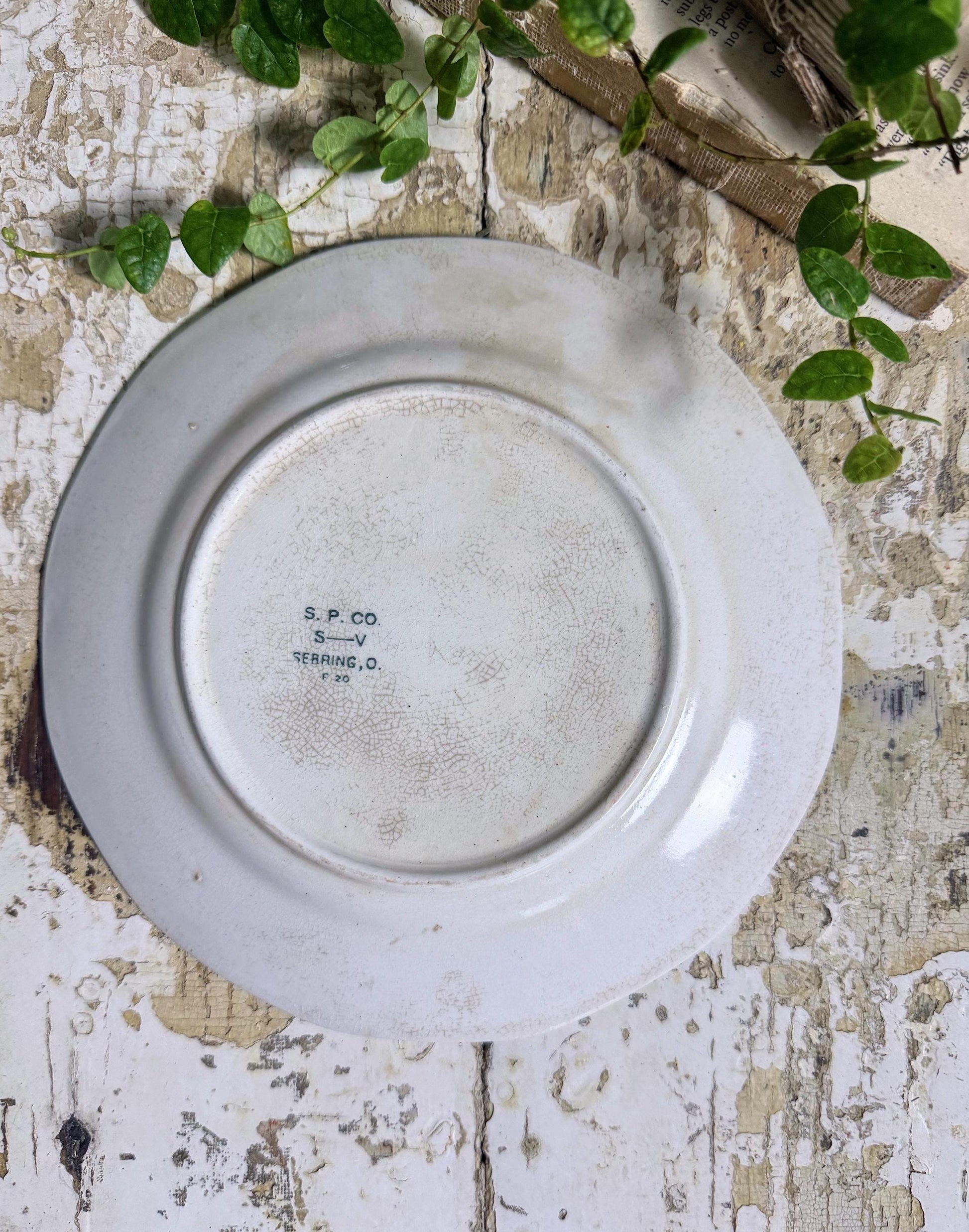 Antique BLUEBIRD Ironstone Plate Farmhouse Decor Crazing Stained