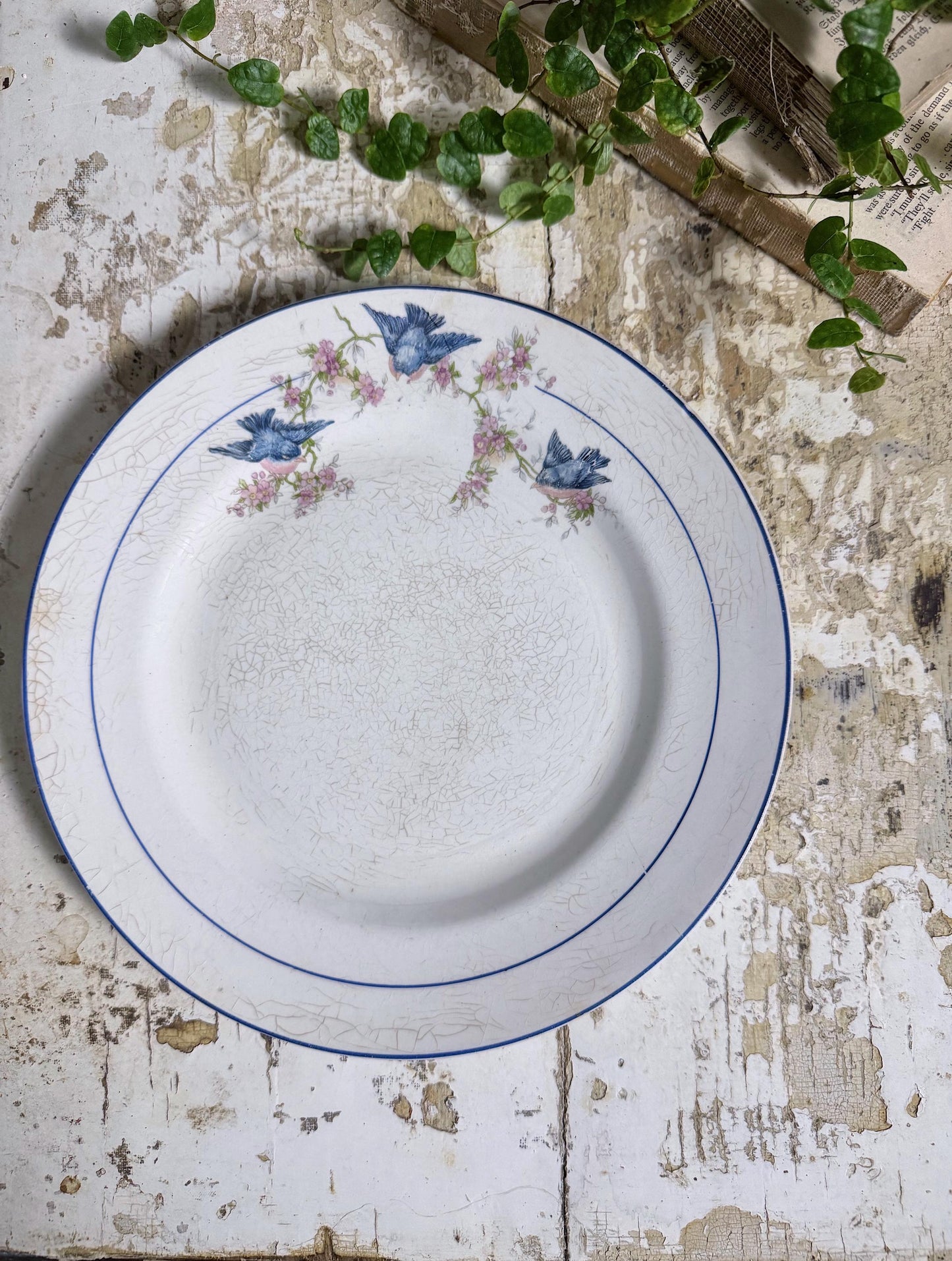 Antique BLUEBIRD Ironstone Dinner Plate Farmhouse Decor Crazing Stained MONTEL Mount Clemens