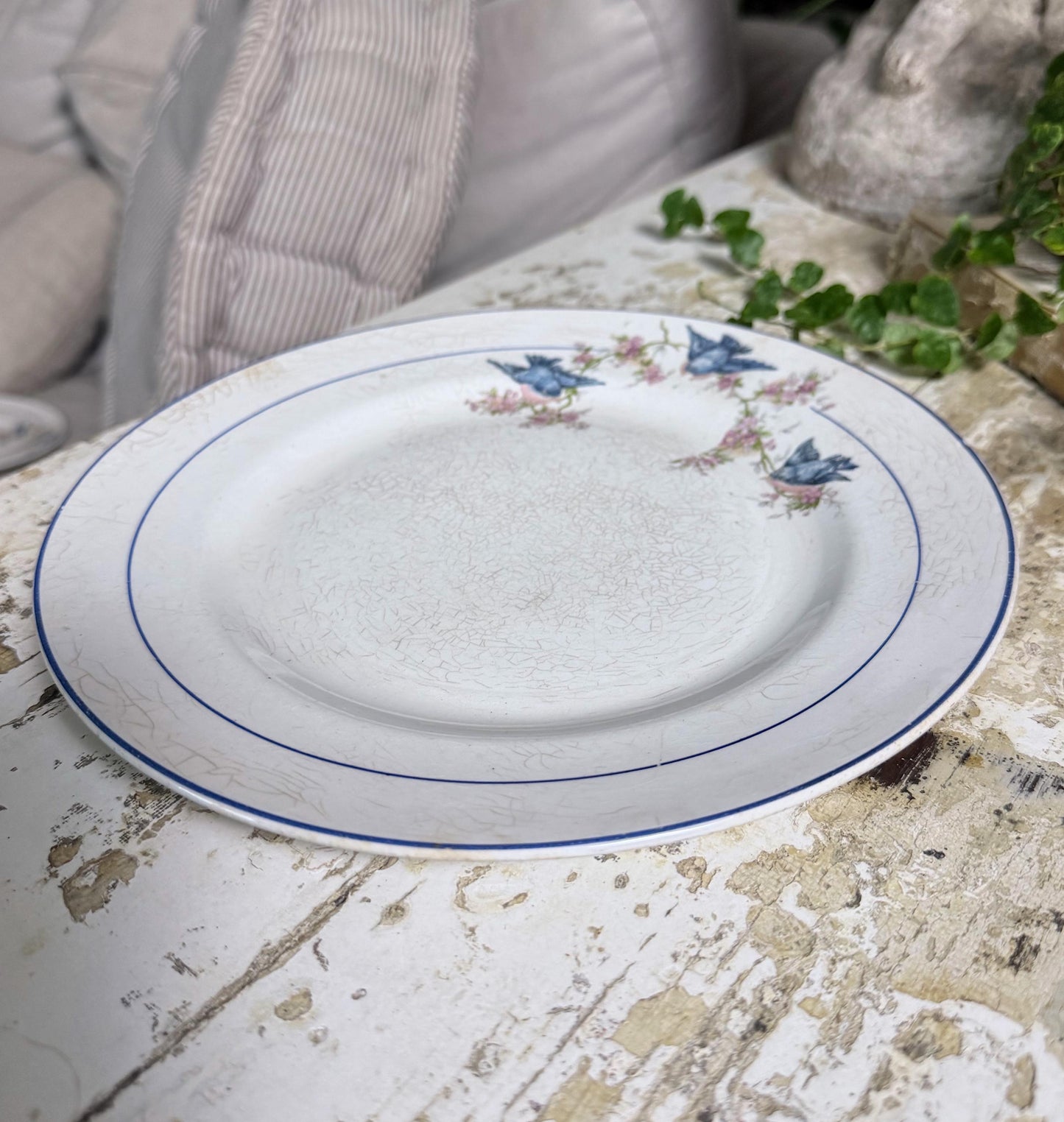 Antique BLUEBIRD Ironstone Dinner Plate Farmhouse Decor Crazing Stained MONTEL Mount Clemens