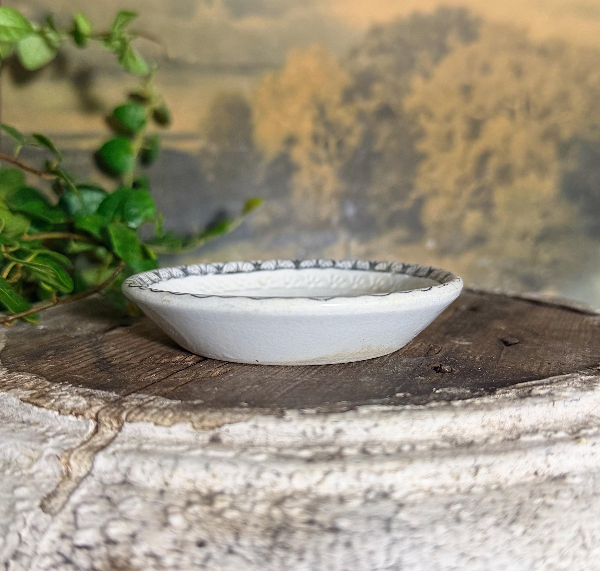 Antique Ironstone Butter Pat Johnson Bros Transferware White Floral Restaurantware Farmhouse Decor England