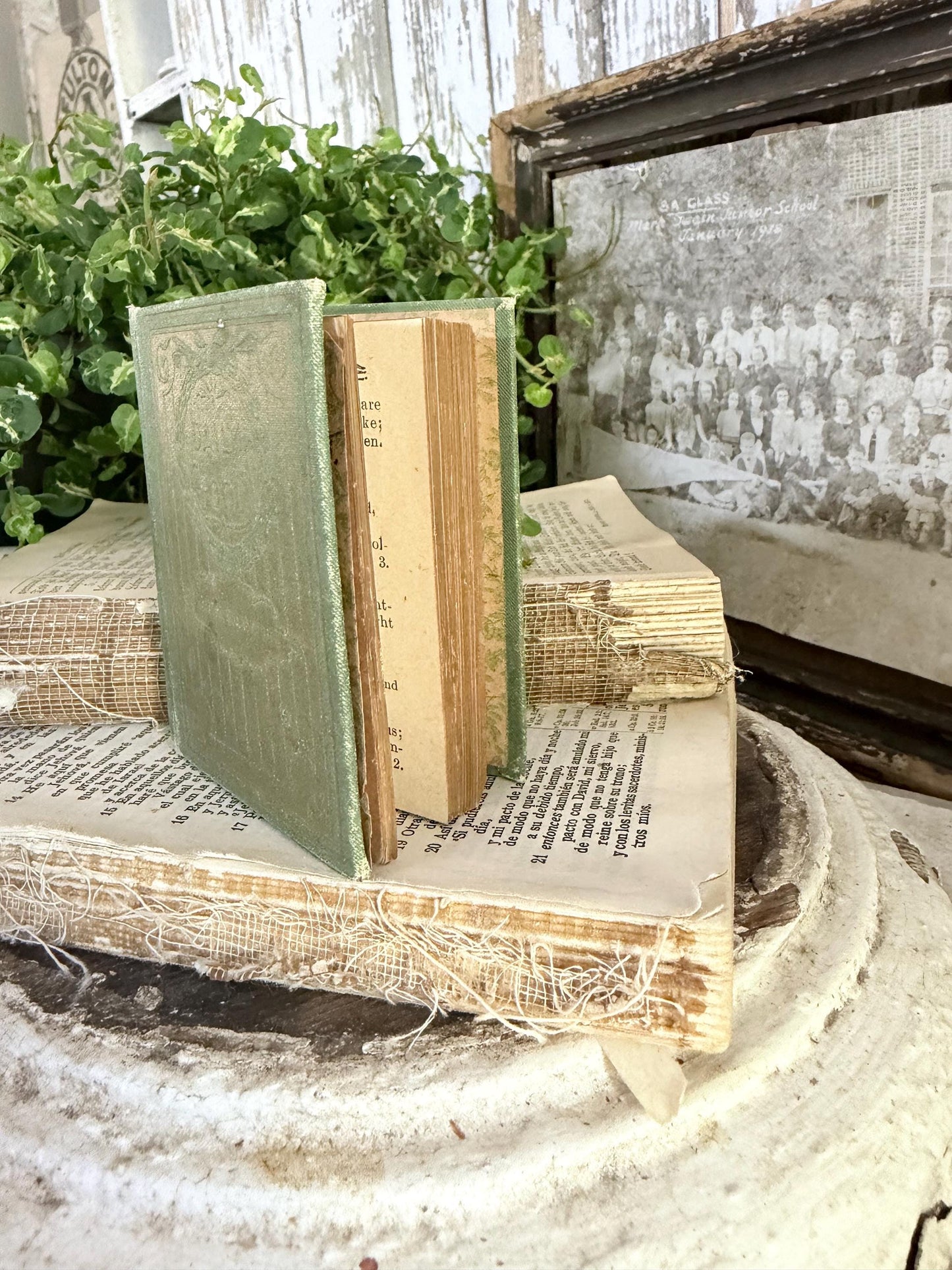 Antique Daily Food Inspirational Bible, Green Devotional Book, Farmhouse Decor