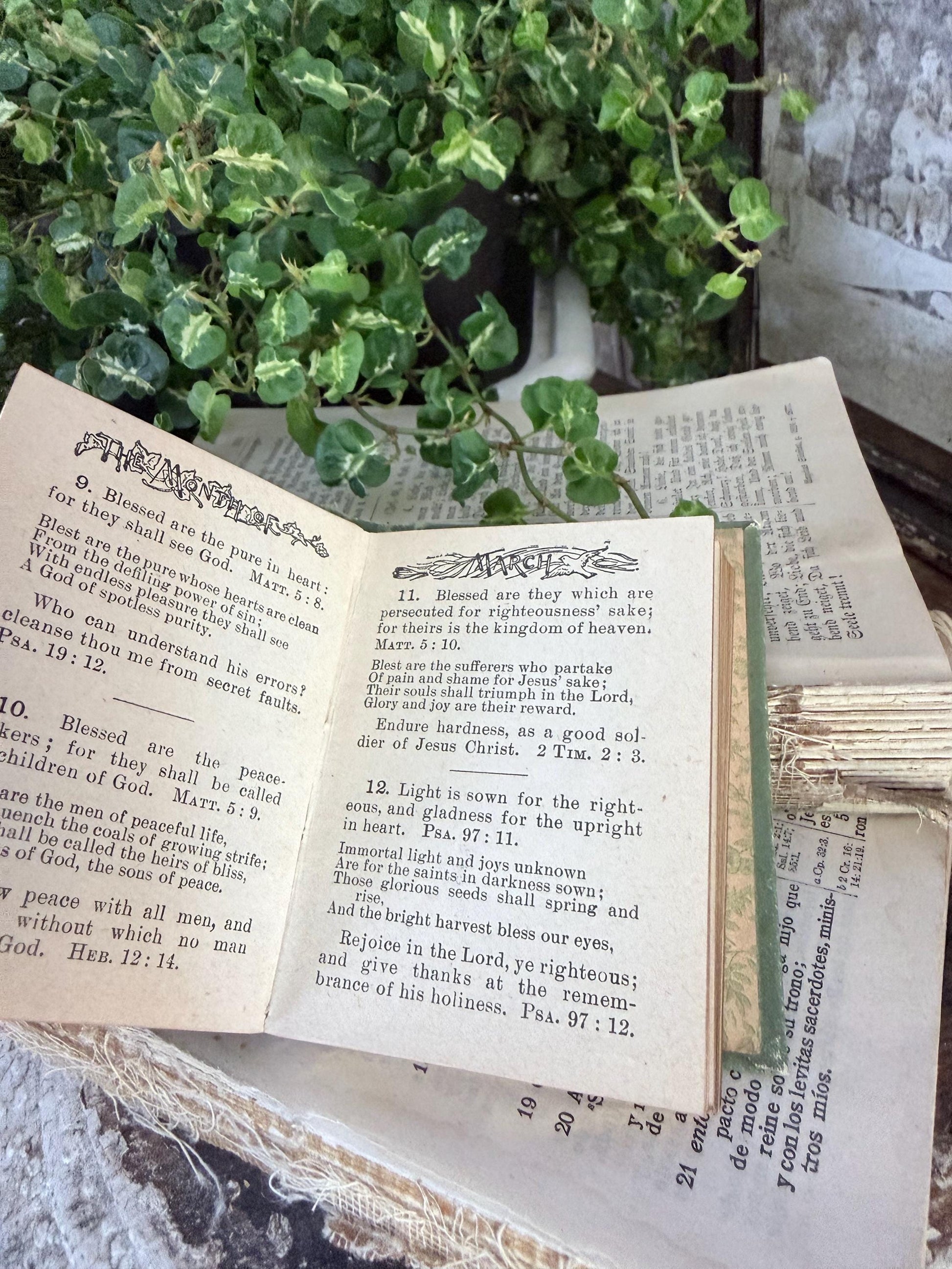 Antique Daily Food Inspirational Bible, Green Devotional Book, Farmhouse Decor