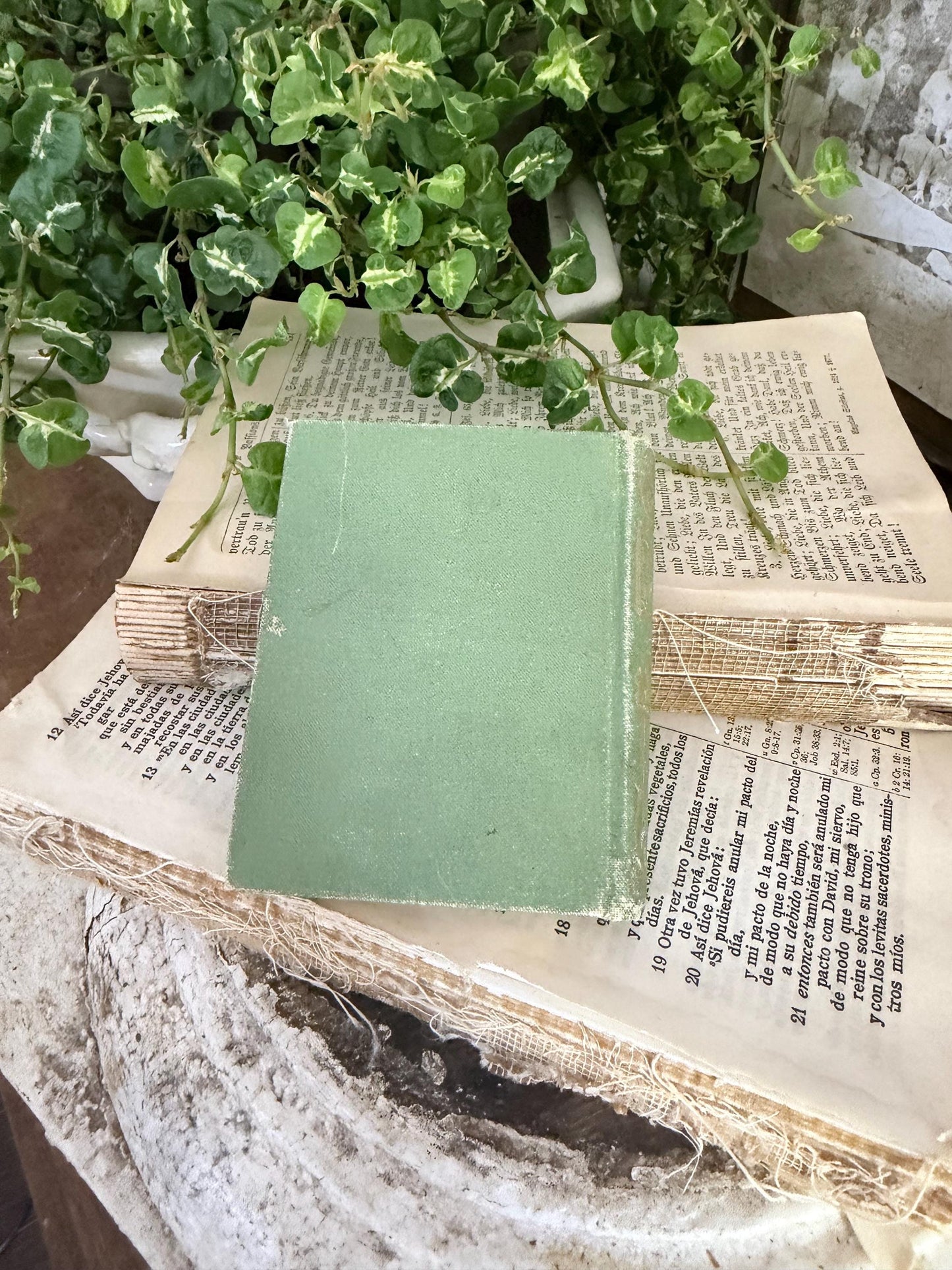 Antique Daily Food Inspirational Bible, Green Devotional Book, Farmhouse Decor