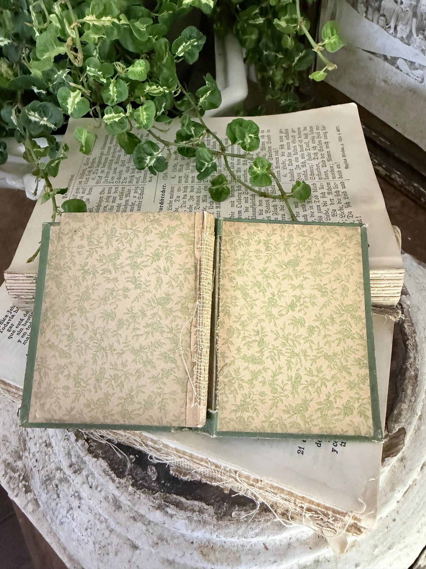 Antique Daily Food Inspirational Bible, Green Devotional Book, Farmhouse Decor