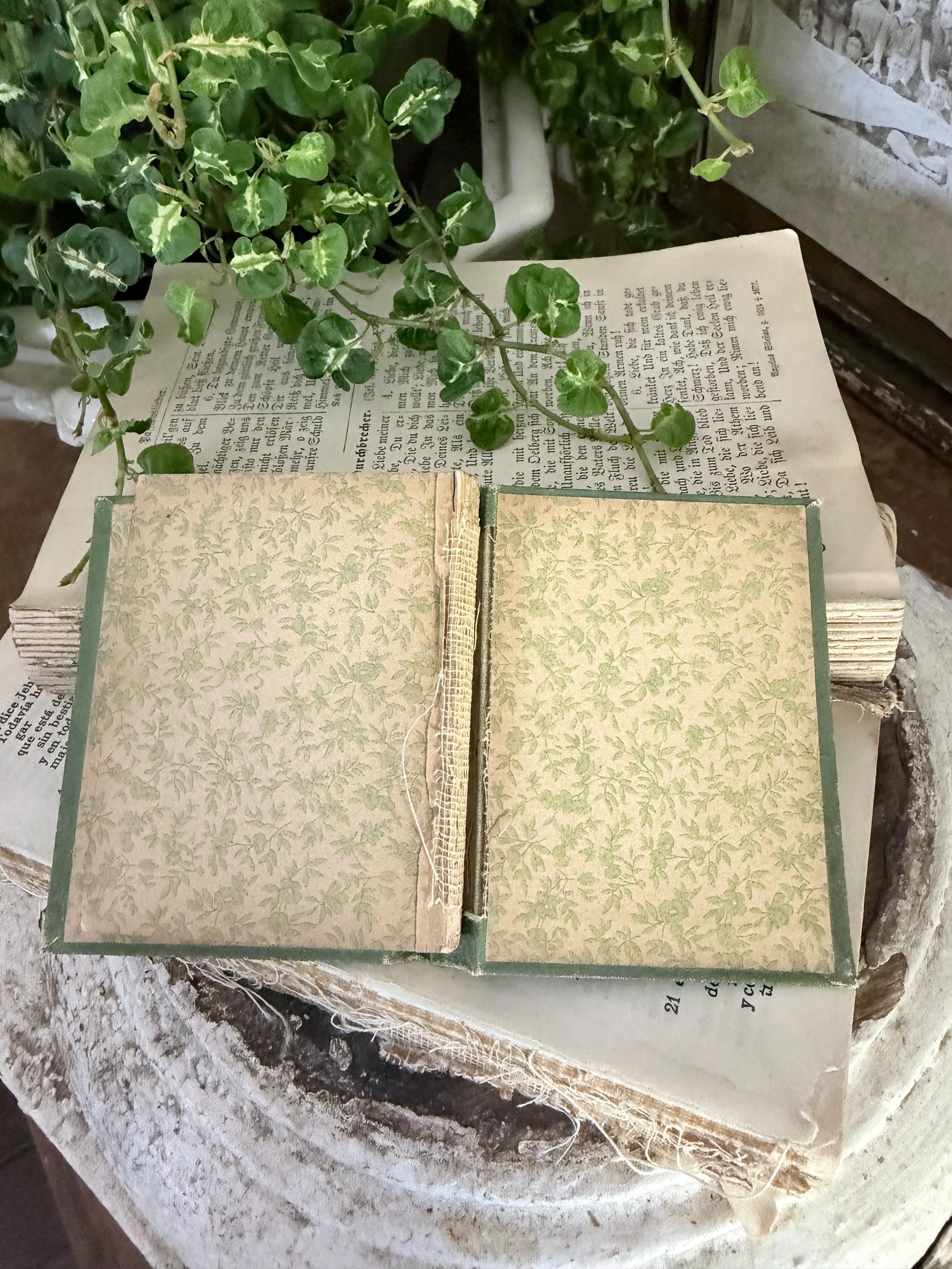 Antique Daily Food Inspirational Bible, Green Devotional Book, Farmhouse Decor