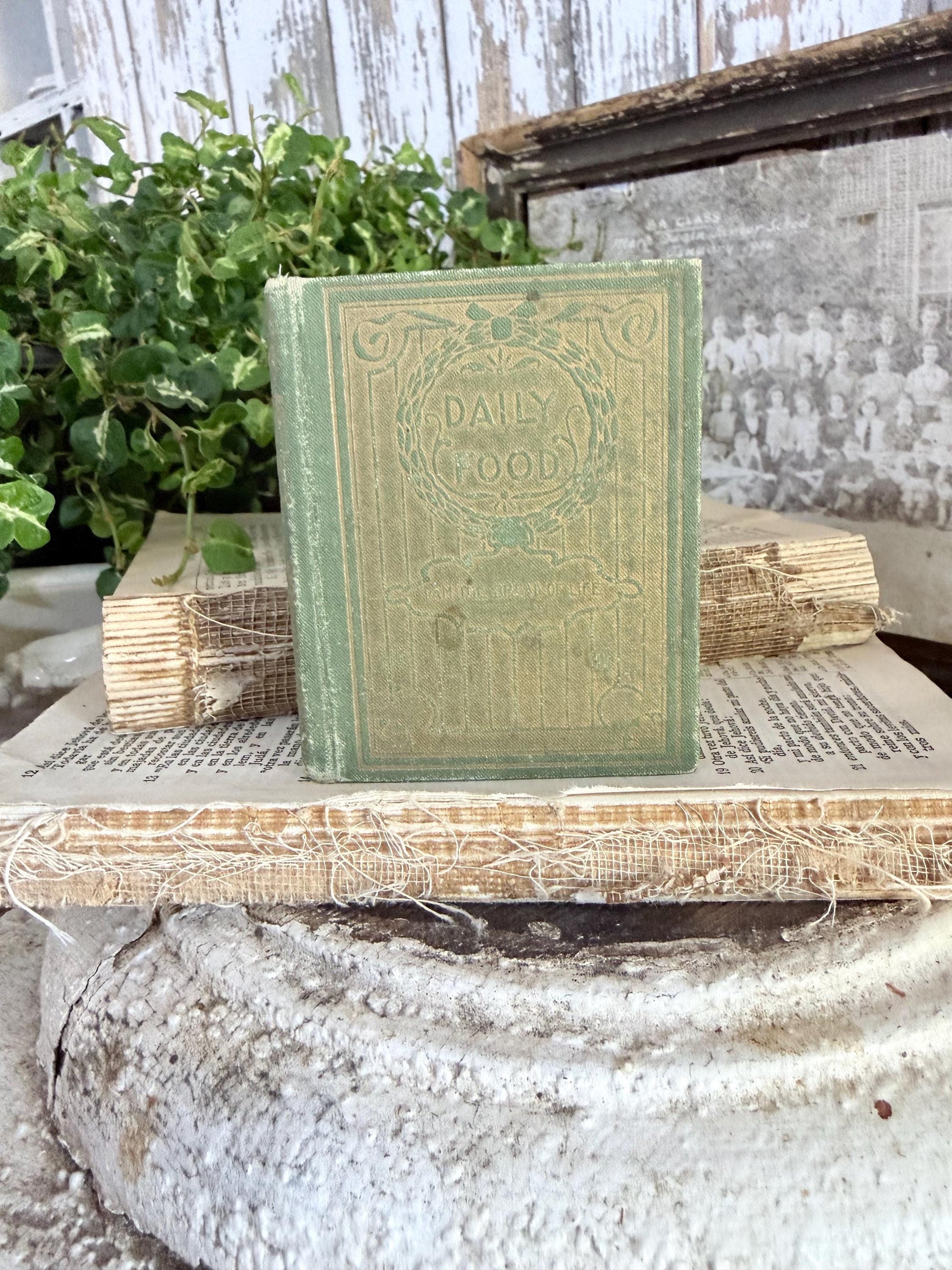 Antique Daily Food Inspirational Bible, Green Devotional Book, Farmhouse Decor