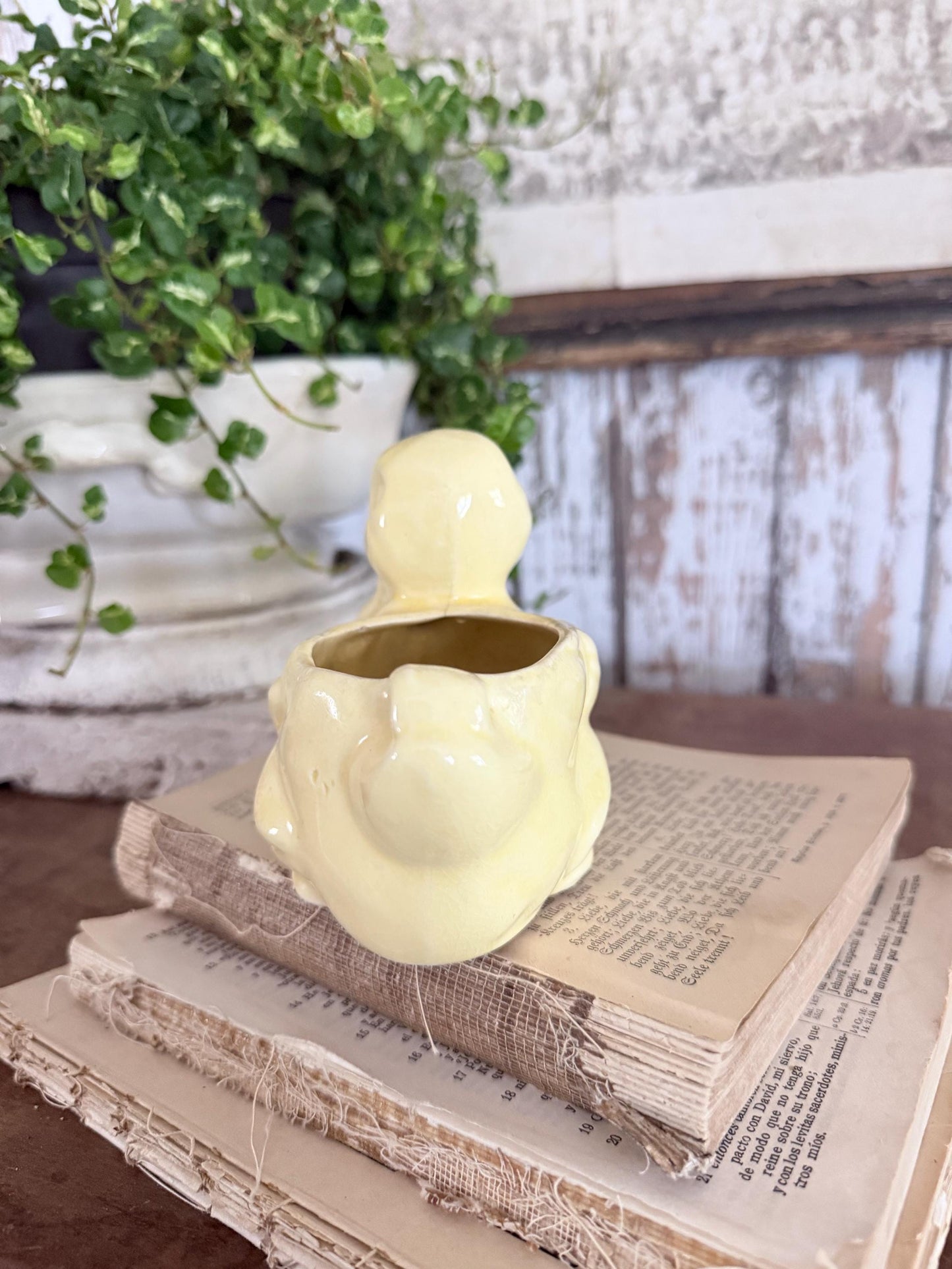 Vintage Ceramic DUCK Flower Pot USA McCoy Container Farmhouse Decor GARDEN Decor Ironstone