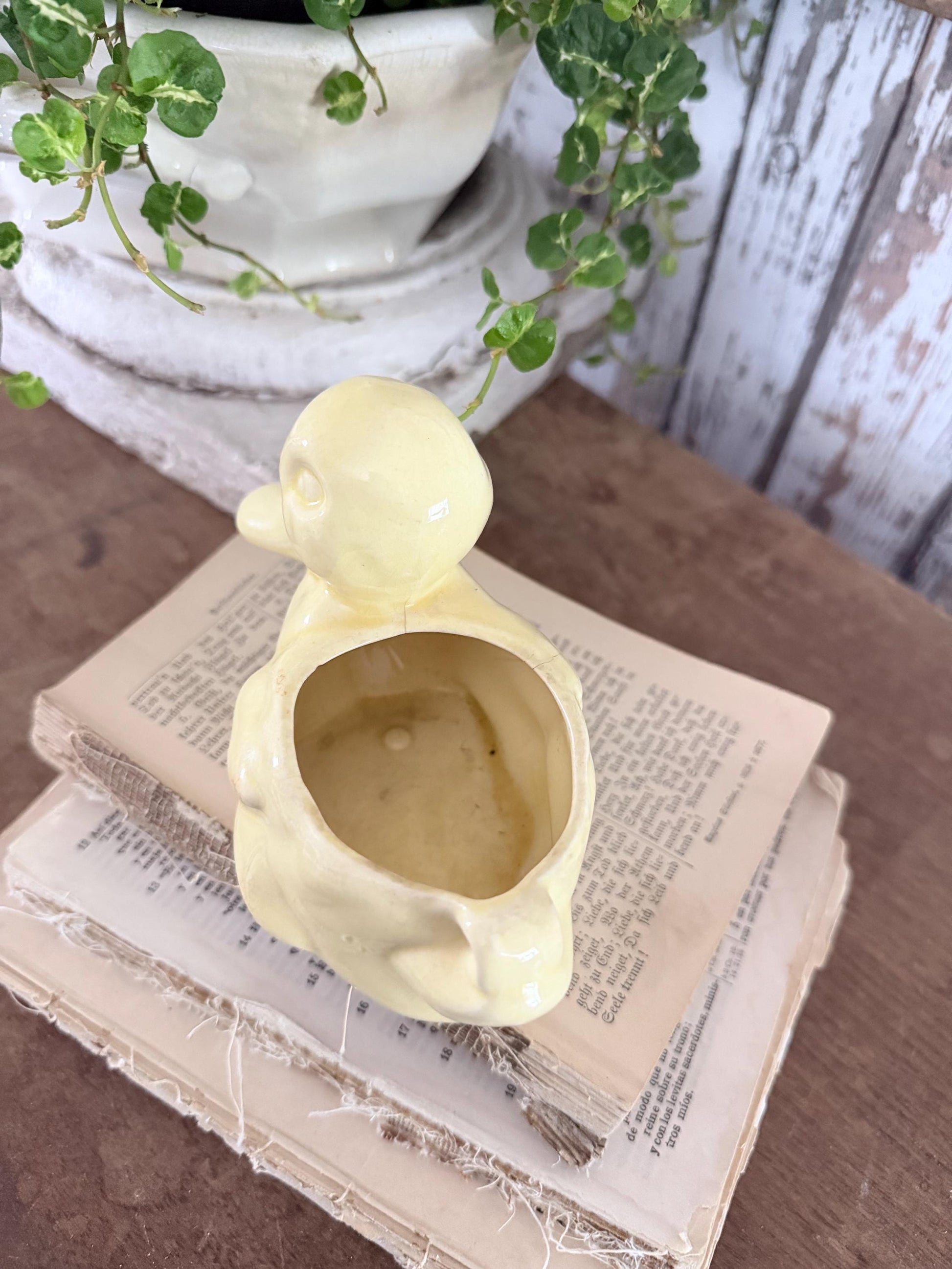 Vintage Ceramic DUCK Flower Pot USA McCoy Container Farmhouse Decor GARDEN Decor Ironstone