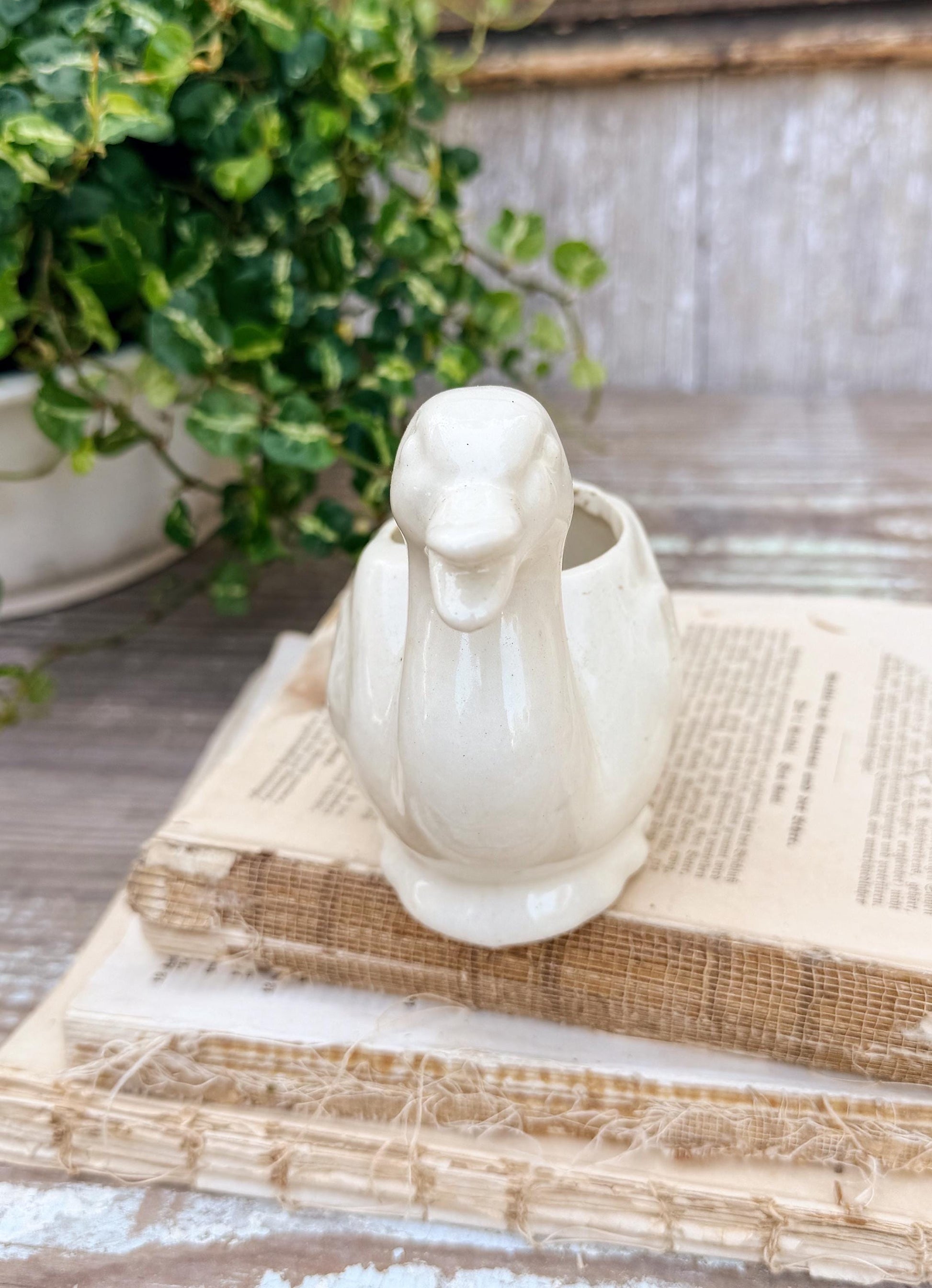 Vintage Ceramic DUCK Flower Pot USA Container Farmhouse Decor GARDEN Decor Ironstone
