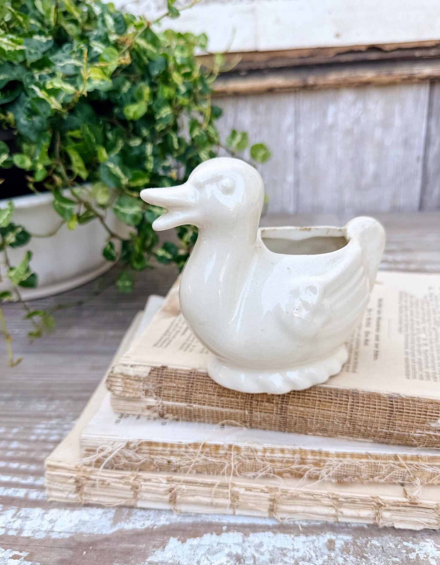 Vintage Ceramic DUCK Flower Pot USA Container Farmhouse Decor GARDEN Decor Ironstone