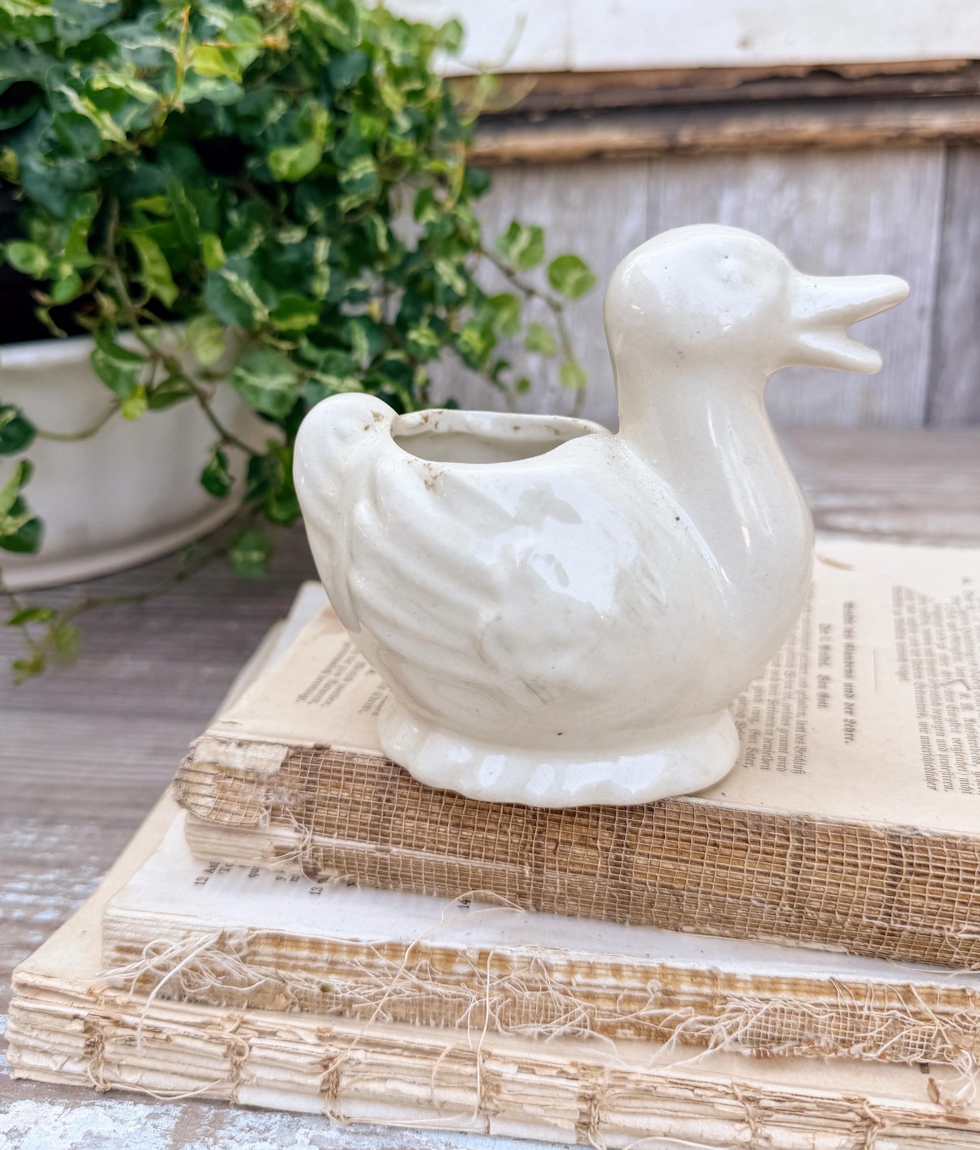 Vintage Ceramic DUCK Flower Pot USA Container Farmhouse Decor GARDEN Decor Ironstone