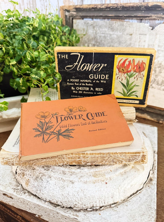 Antique Wild Flowers Guide Book: Chester Reed 1930 Pocket Manual
