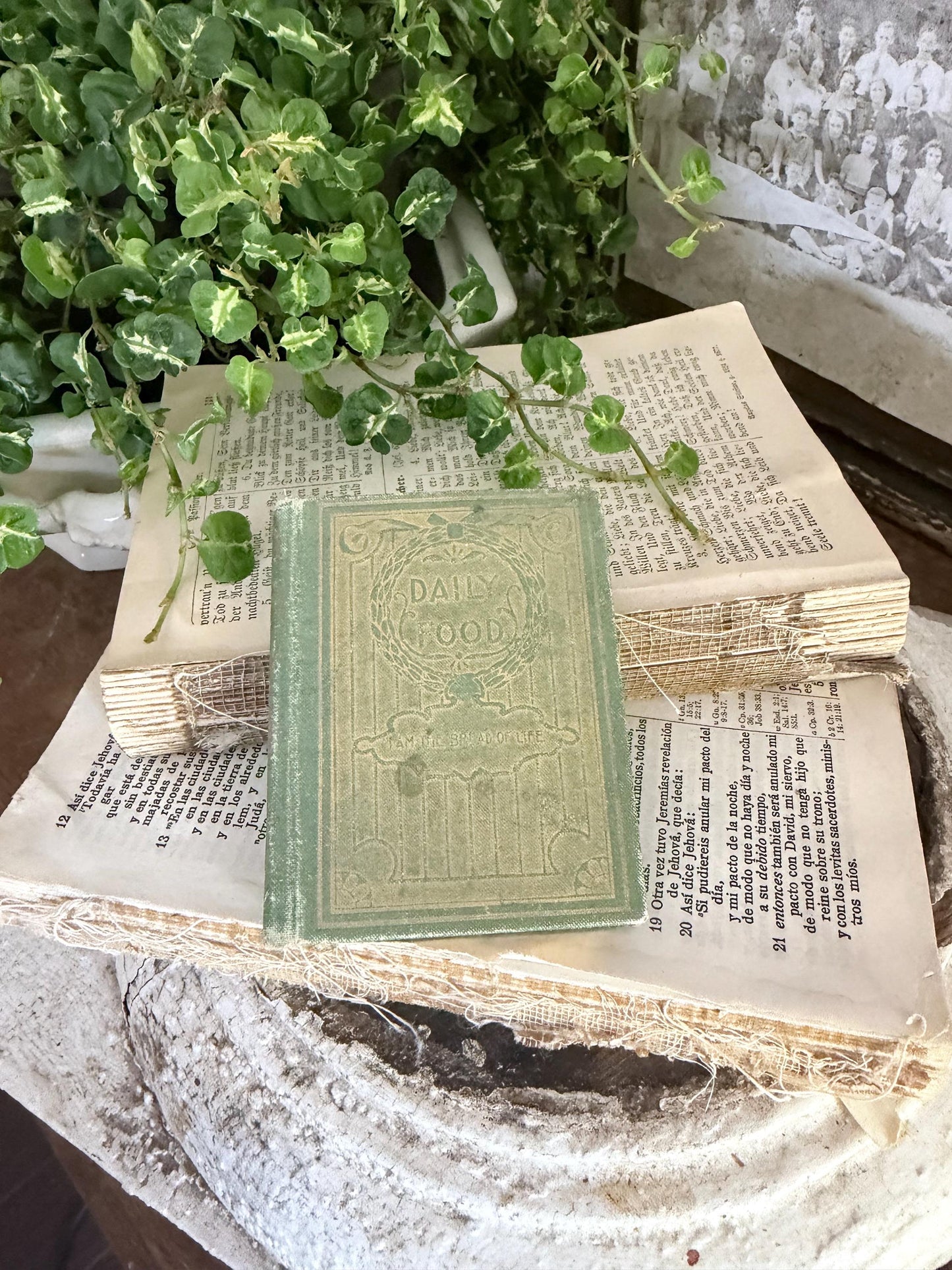 Antique Daily Food Inspirational Bible, Green Devotional Book, Farmhouse Decor