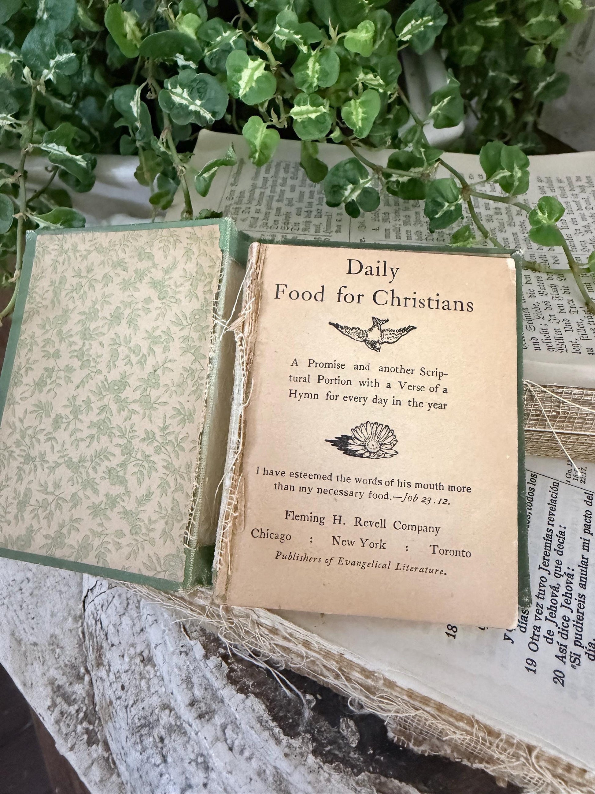 Antique Daily Food Inspirational Bible, Green Devotional Book, Farmhouse Decor