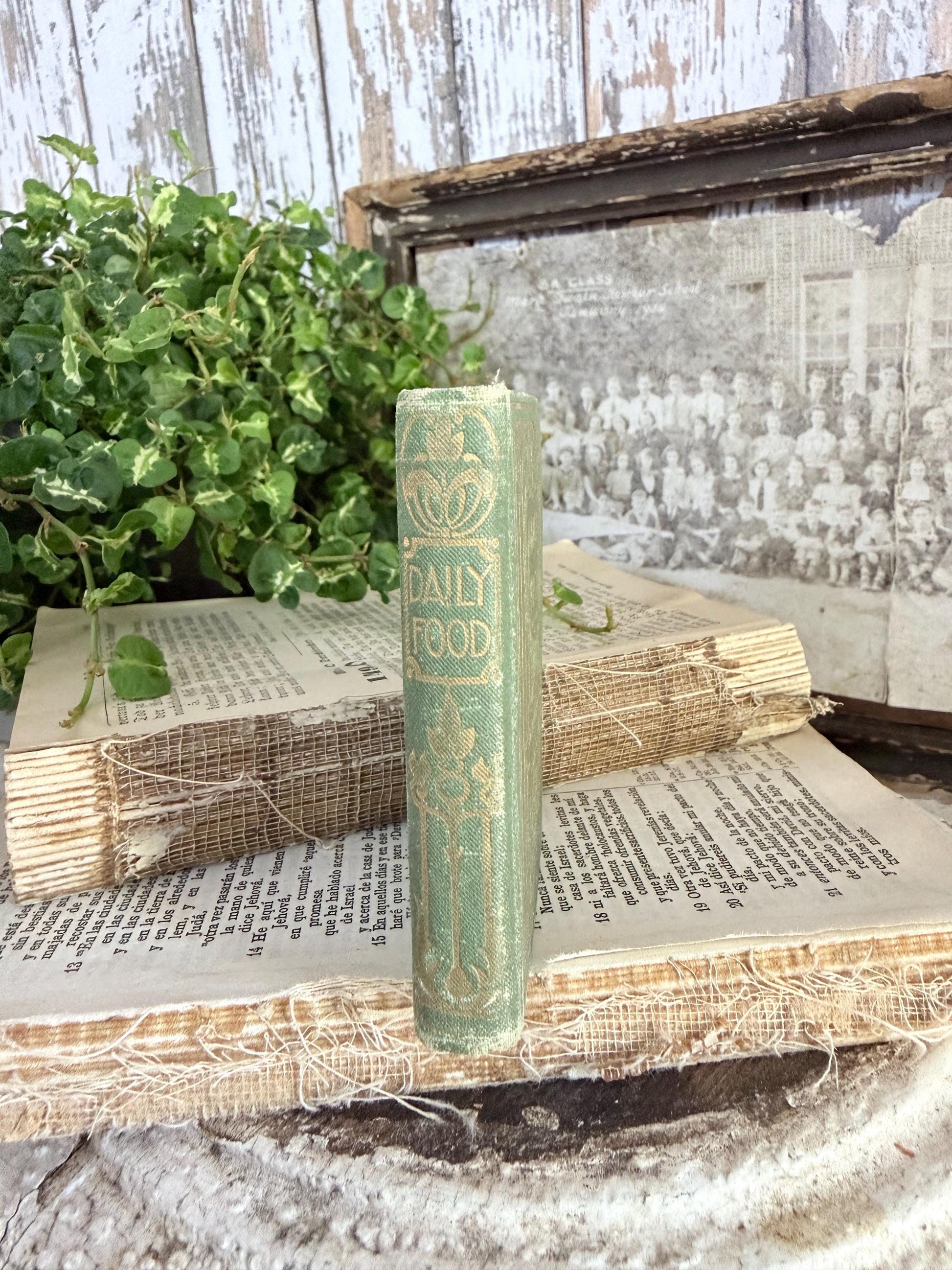 Antique Daily Food Inspirational Bible, Green Devotional Book, Farmhouse Decor