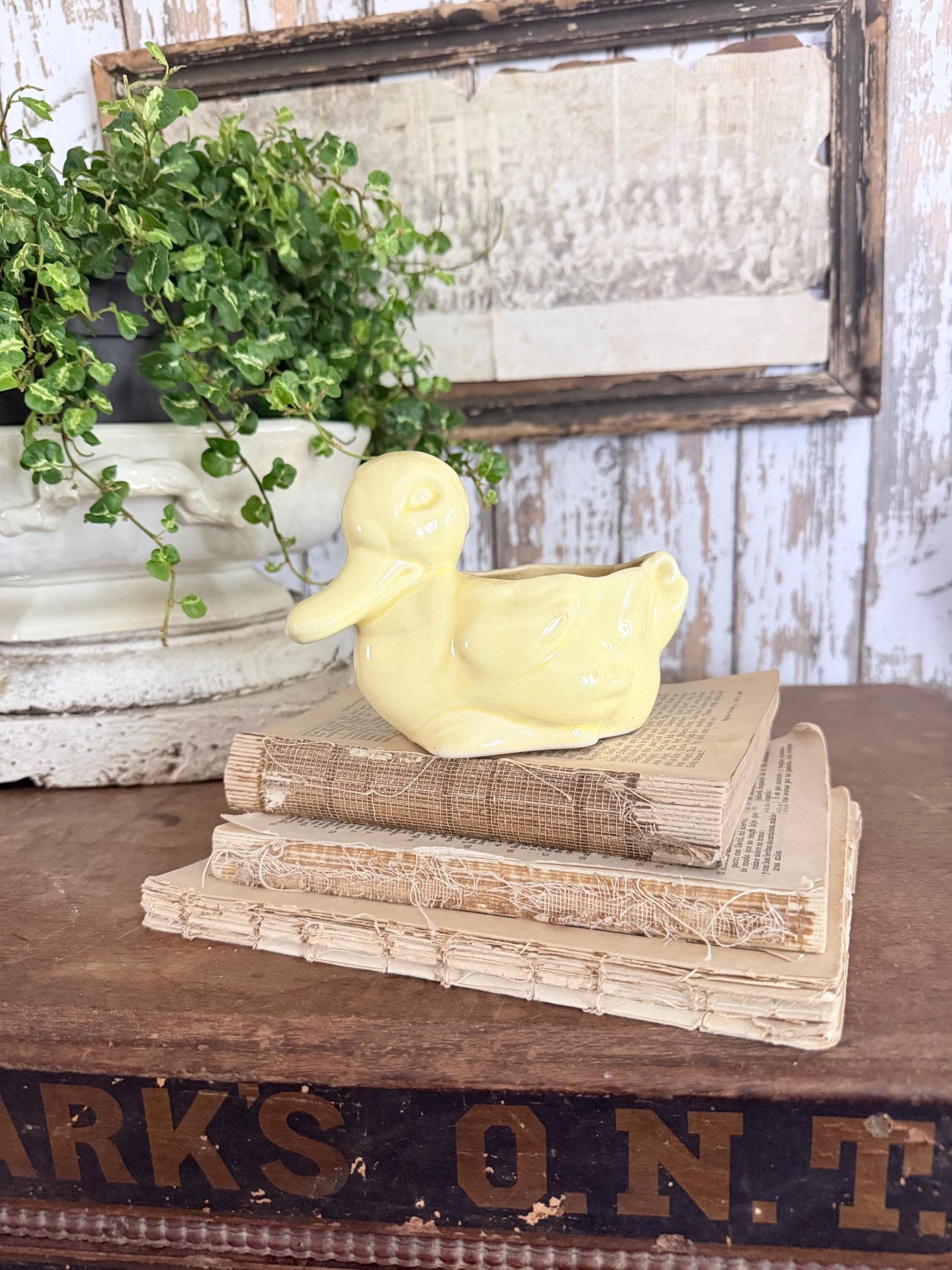 Vintage Ceramic DUCK Flower Pot USA McCoy Container Farmhouse Decor GARDEN Decor Ironstone
